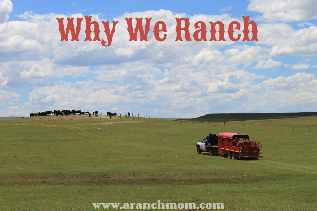Why We Ranch A Ranch Mom