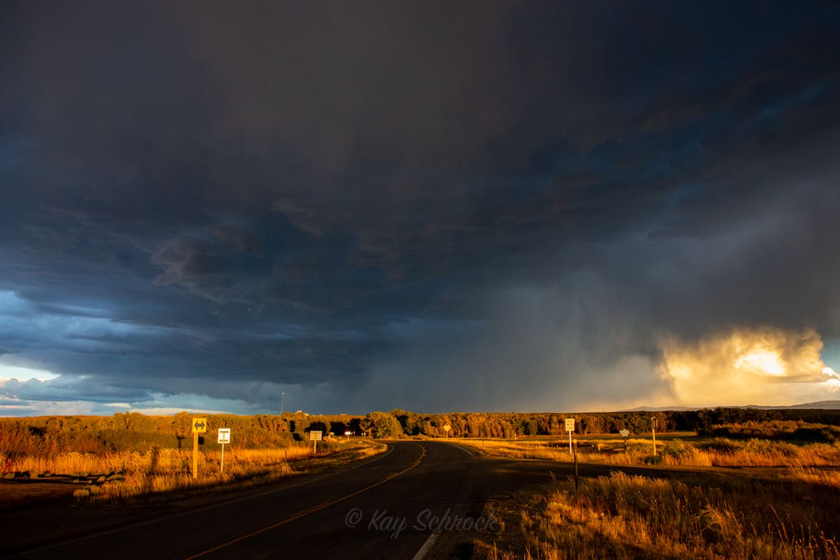 storm clouds with golden sun on trees