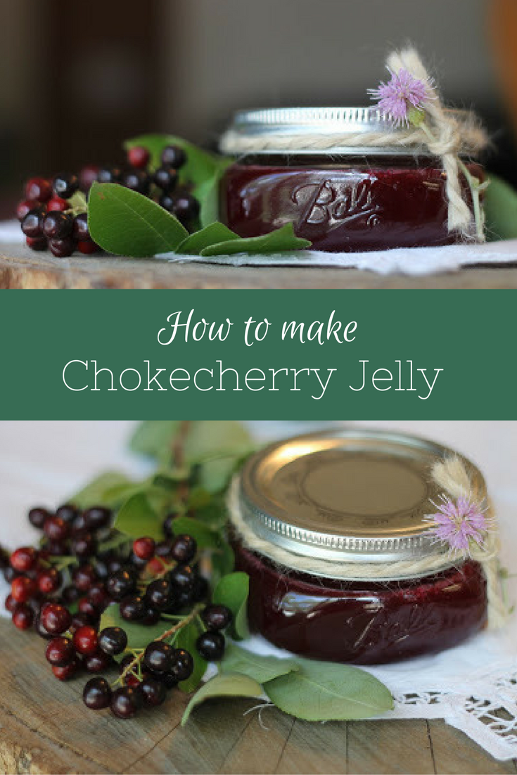 Choke Cherry Jelly - A Ranch Mom