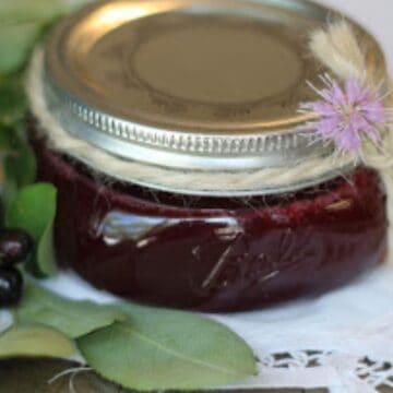 chokecherry jelly in a jar.