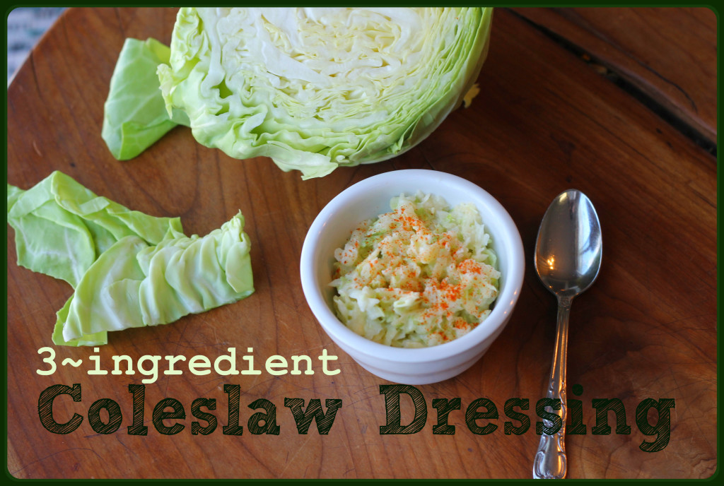Easy coleslaw dressing recipe! 