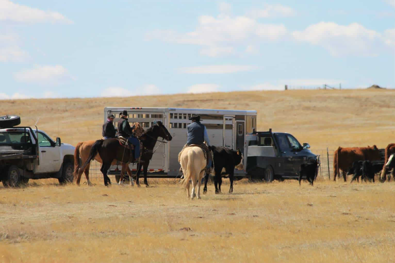 group of mounted cowboys standing near a horse trailer