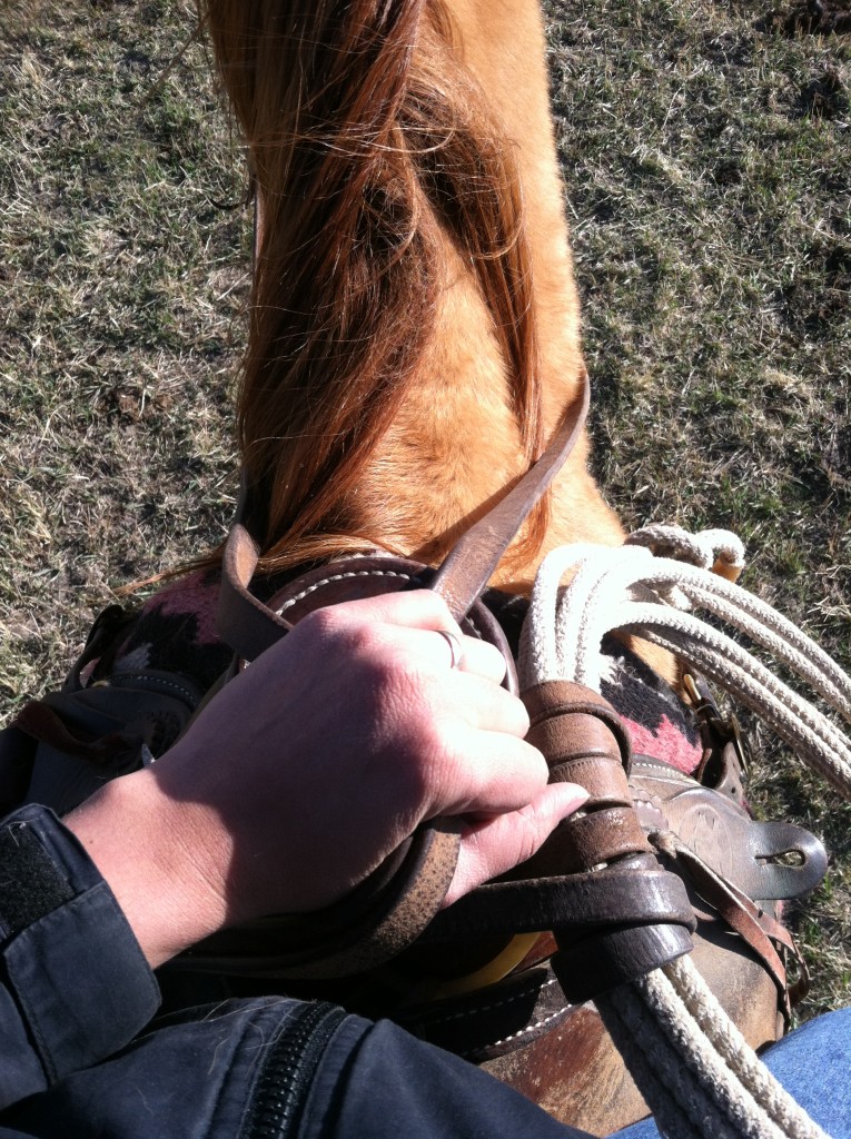 Sunday Afternoon Riding on the ranch.