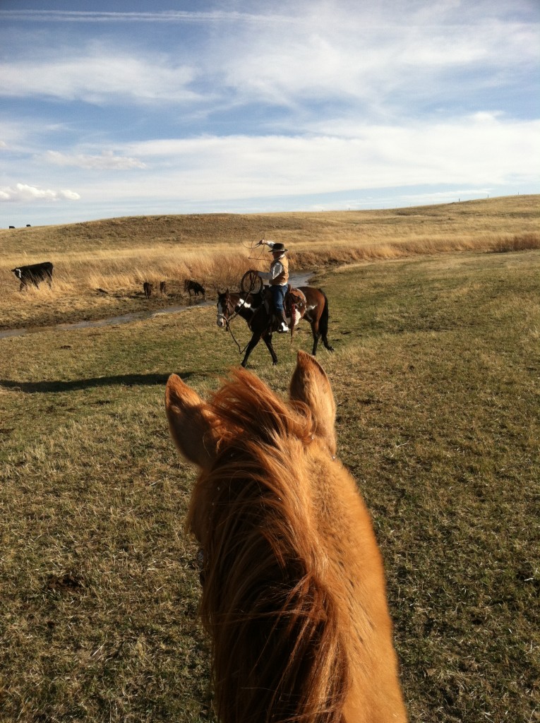 Sunday Afternoon Riding on the ranch.