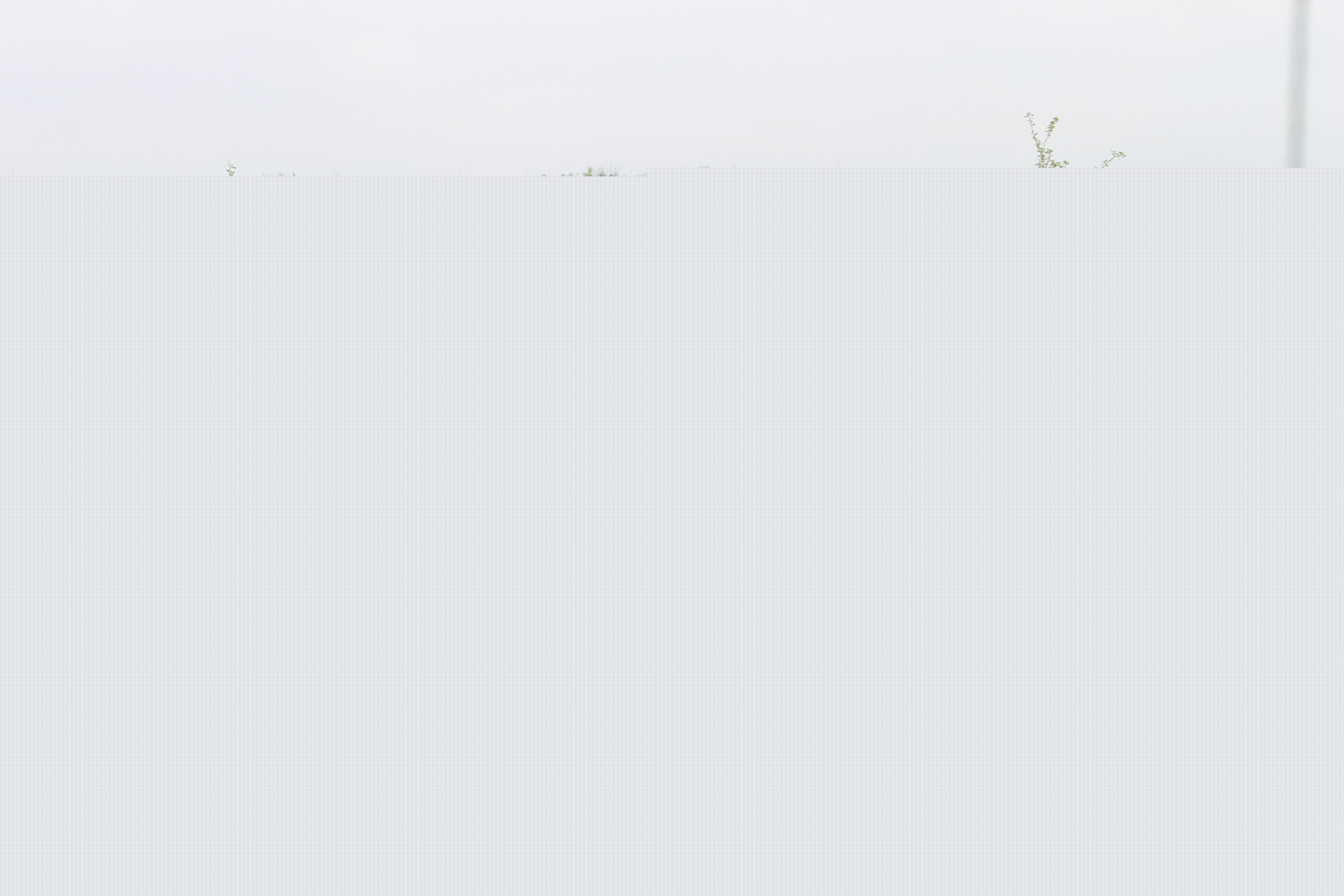 Our Lord's Candle (Texas)