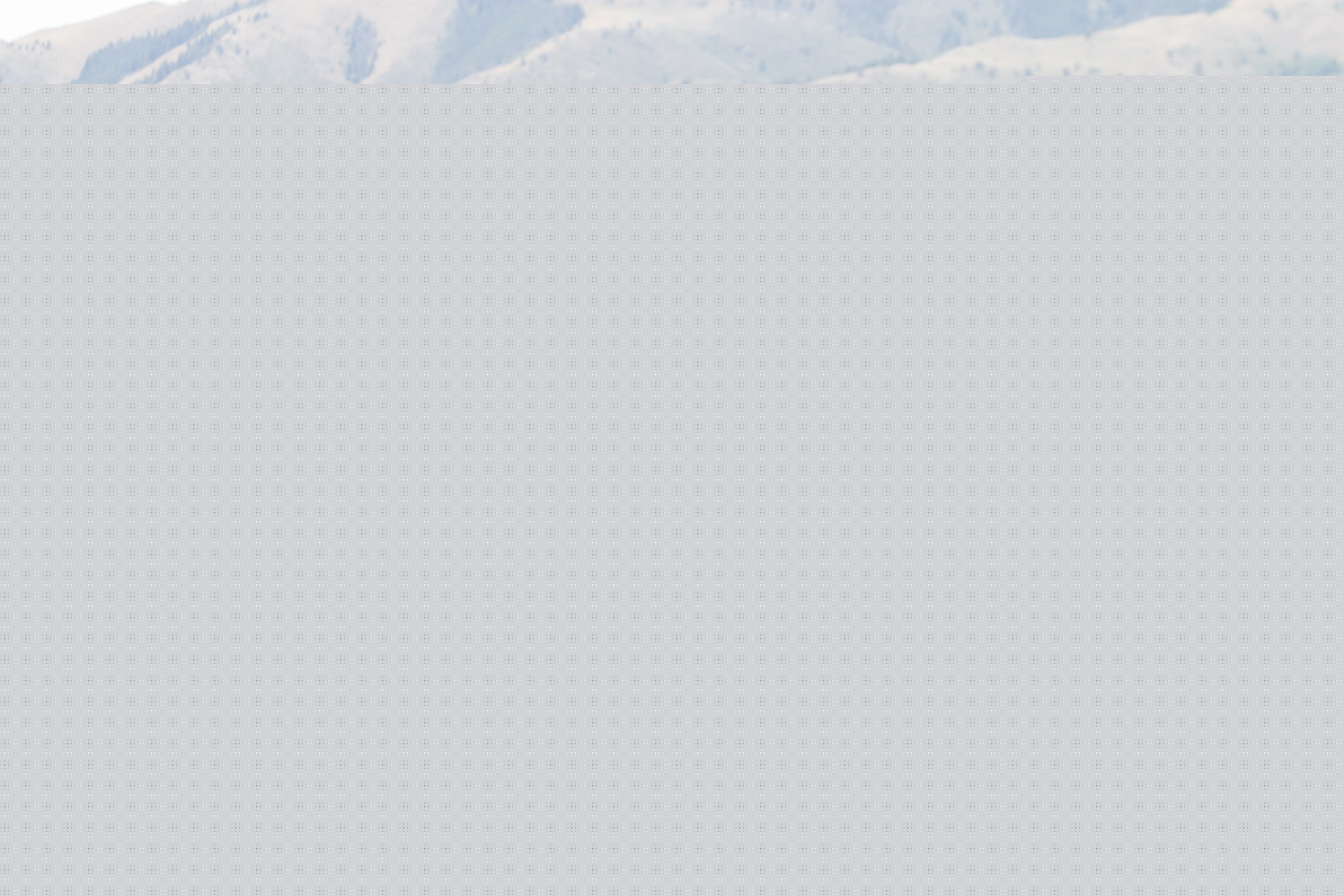 Cody Roy roping at the TA