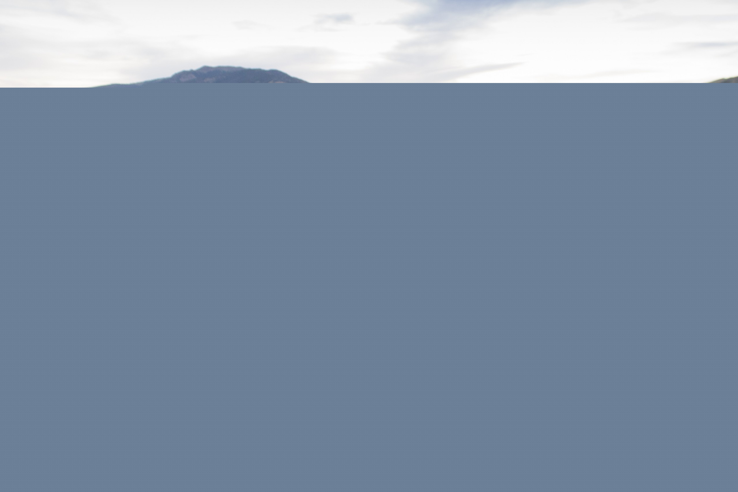 Morning cattle drive roundup wyoming