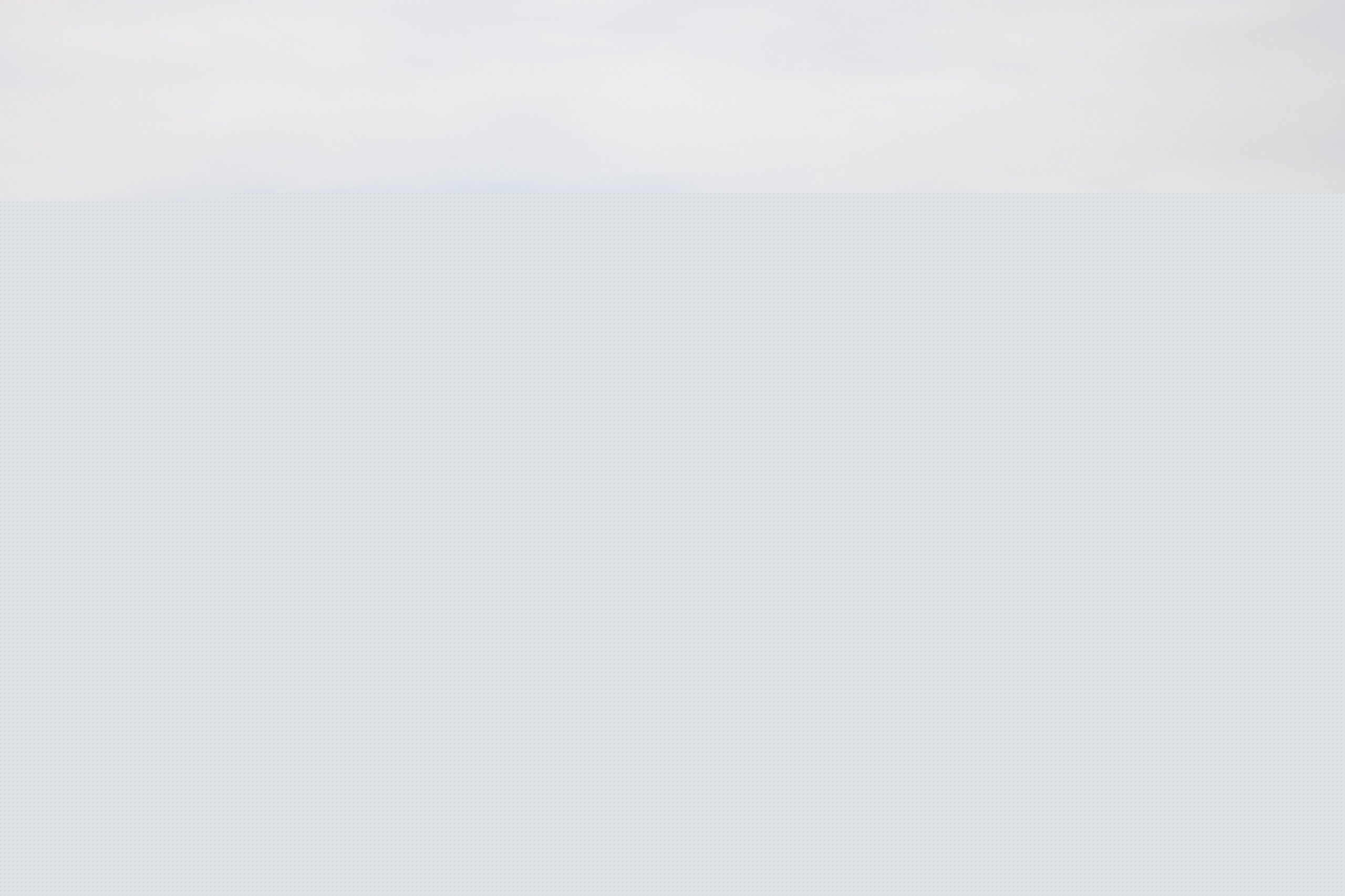 heading and heeling at the TA Branding