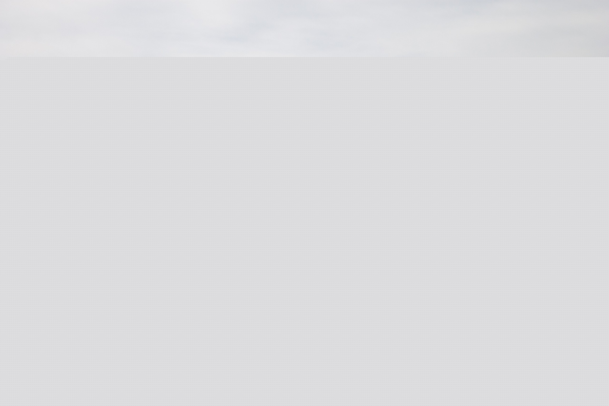 cowboy at the TA Branding