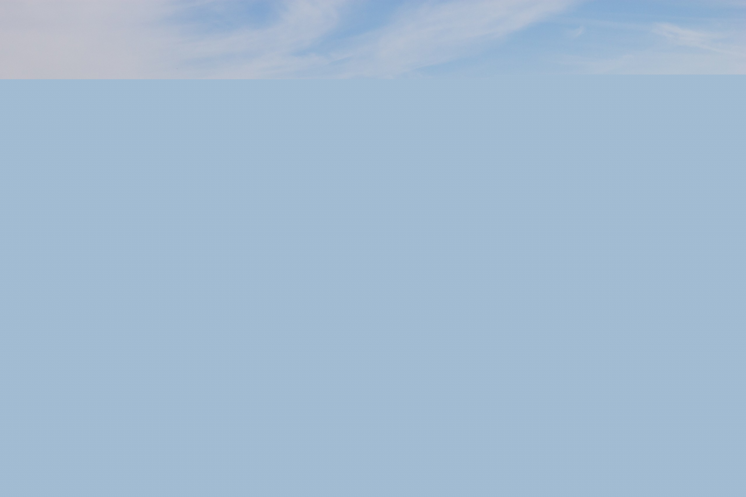 Cattle trailers trucks at the branding