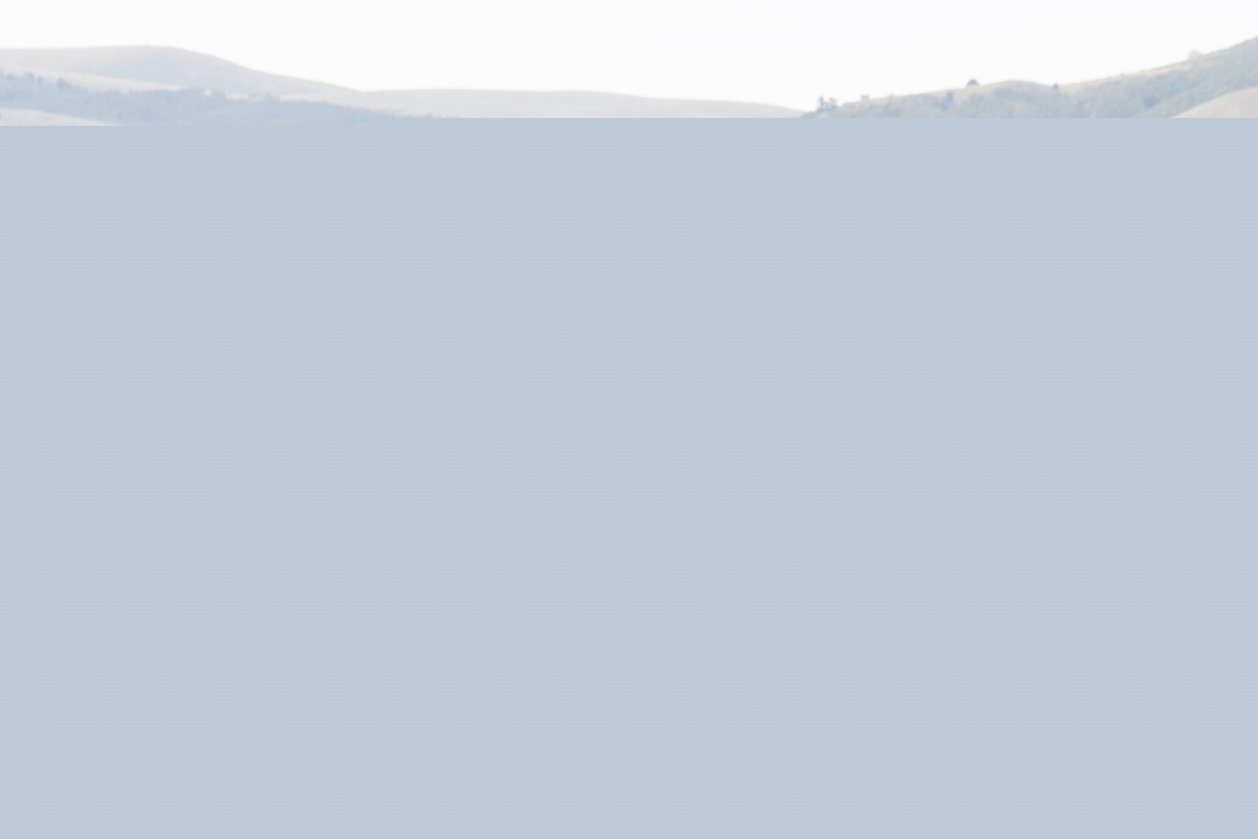 Jed Roark and John Love roping at the TA