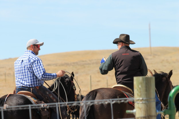 Beef Recipes for a Crowd - A Ranch Mom