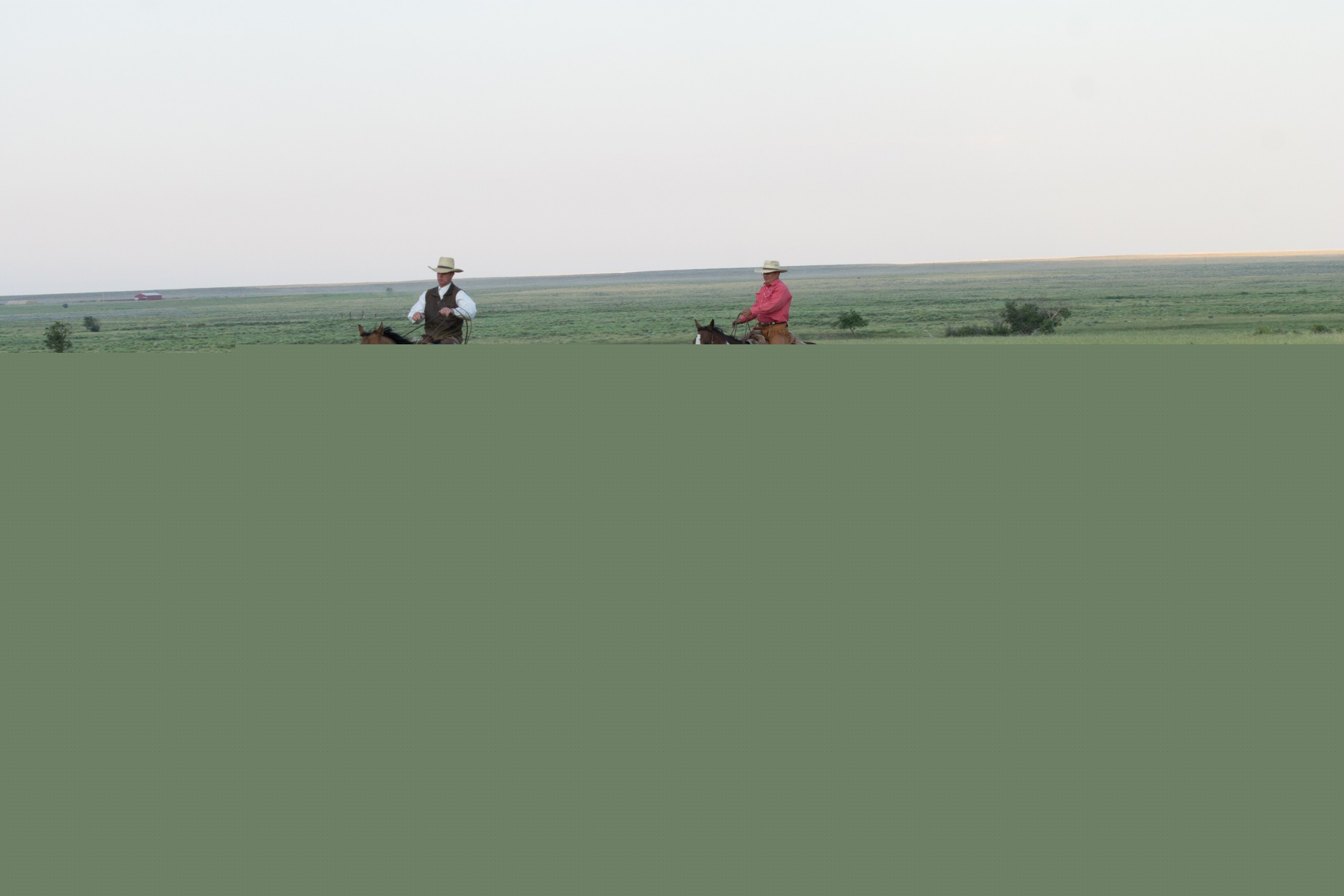 Easy Scottish Egg Recipe 