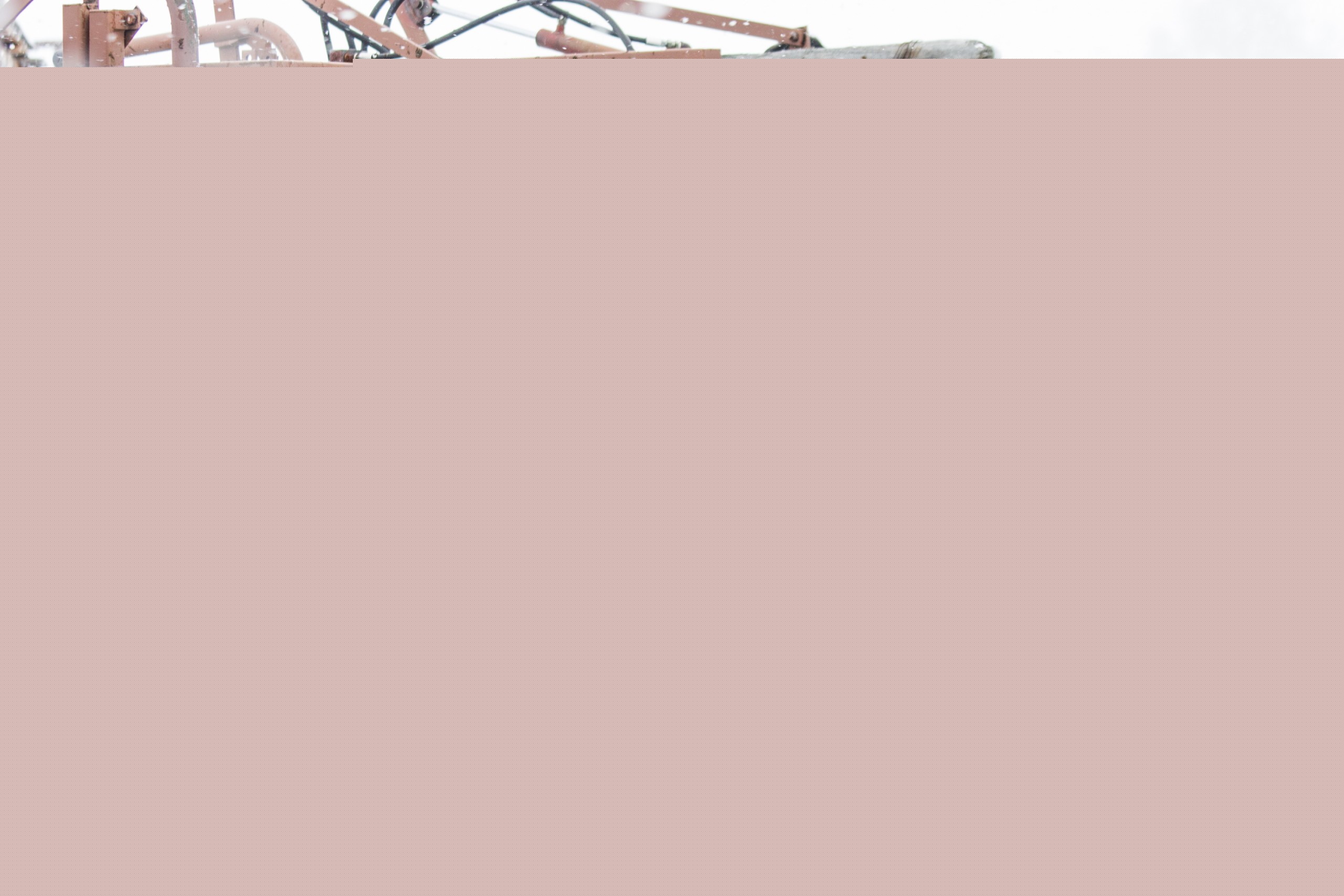 Two secrets to great photos, and some preg-checking. #Wyoming #ranch