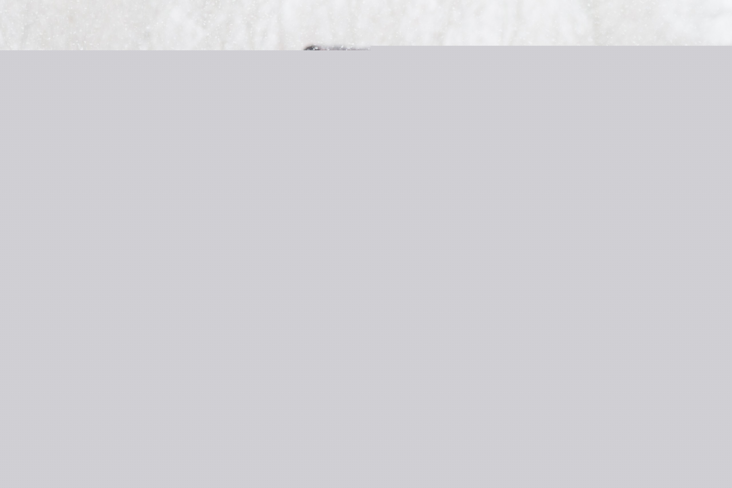 Two secrets to great photos, and some preg-checking. #Wyoming #ranch