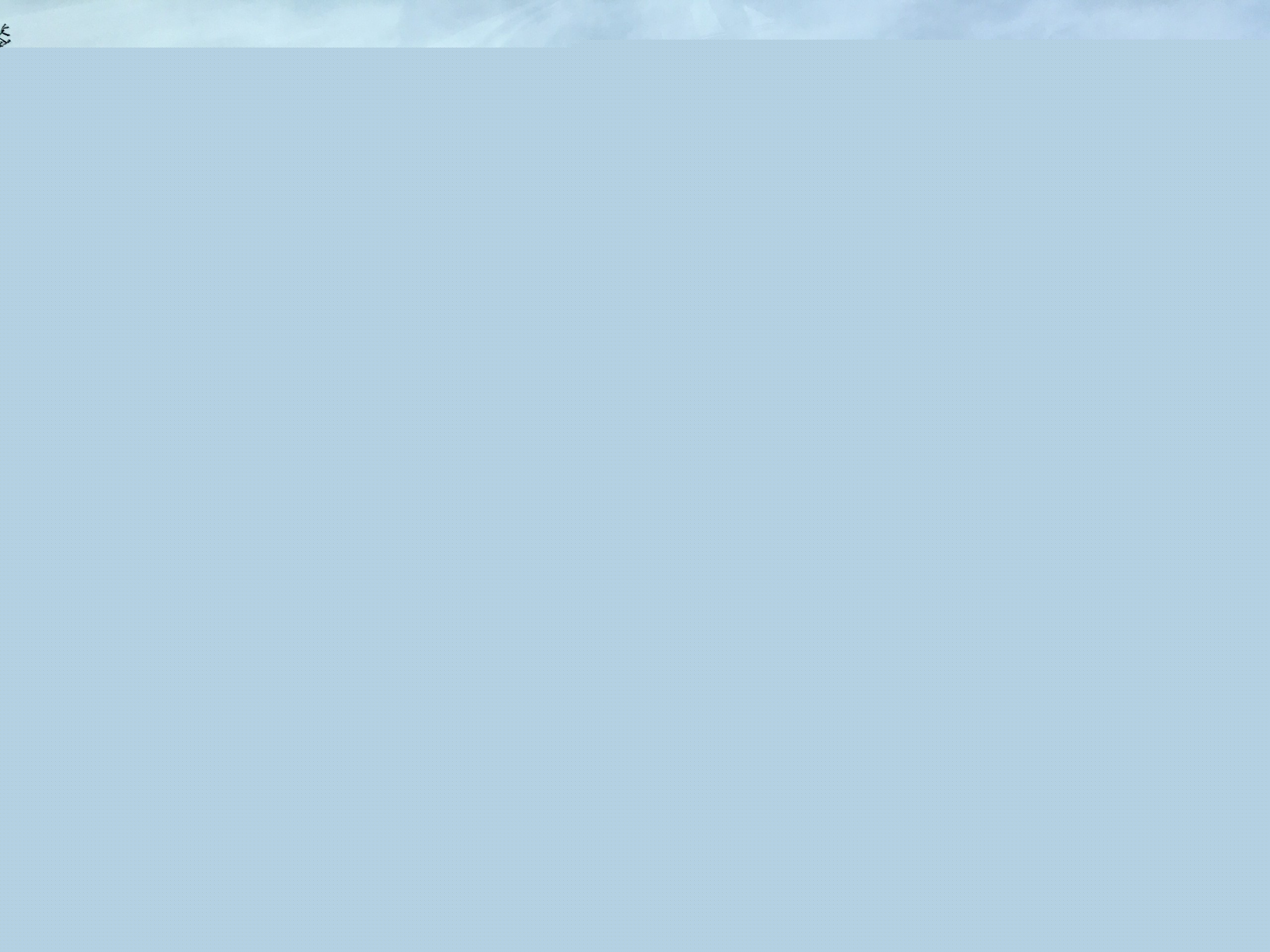 University of Colorado Hospital, day before surgery.