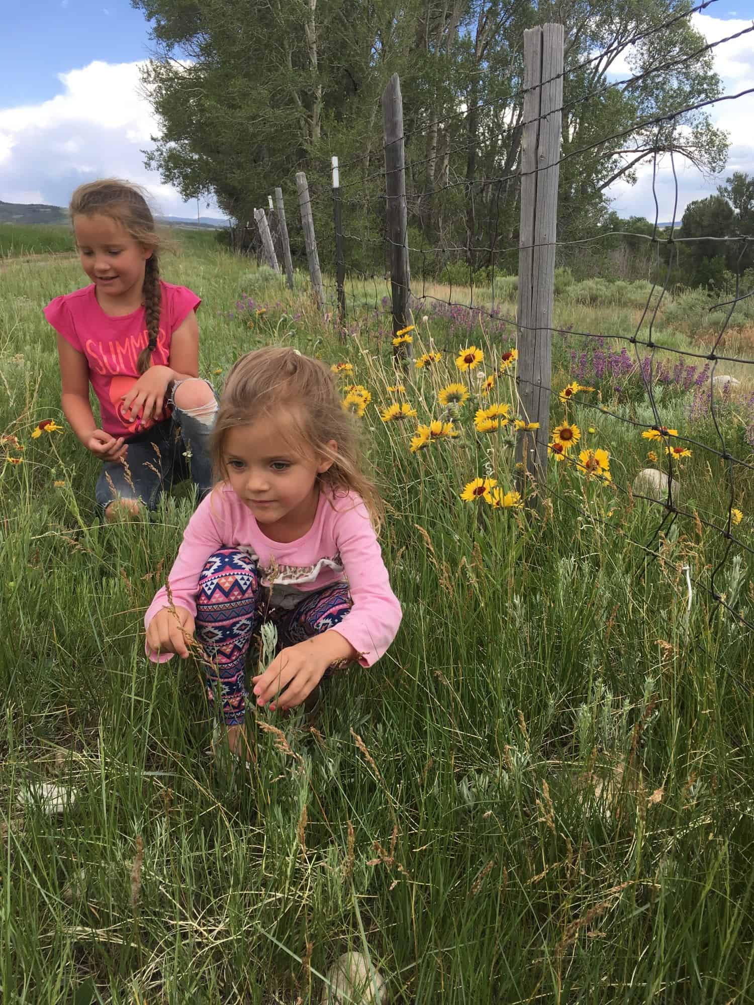 frugal ways to eat on a trip (girls in a flower field )