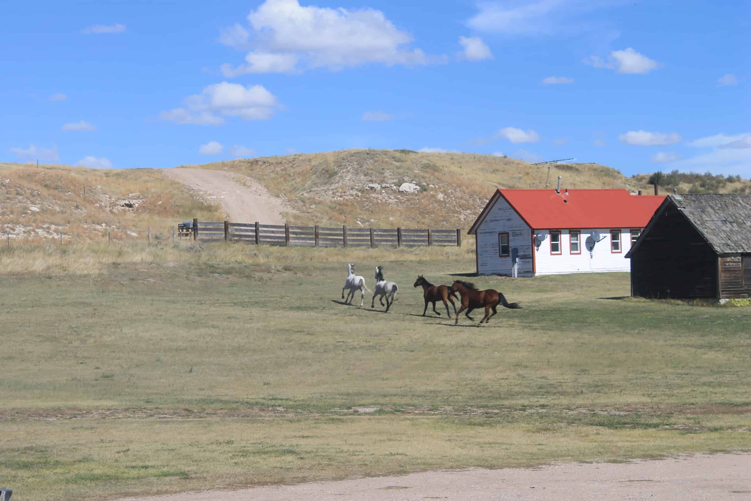 How to keep your sanity when you live in a small house.