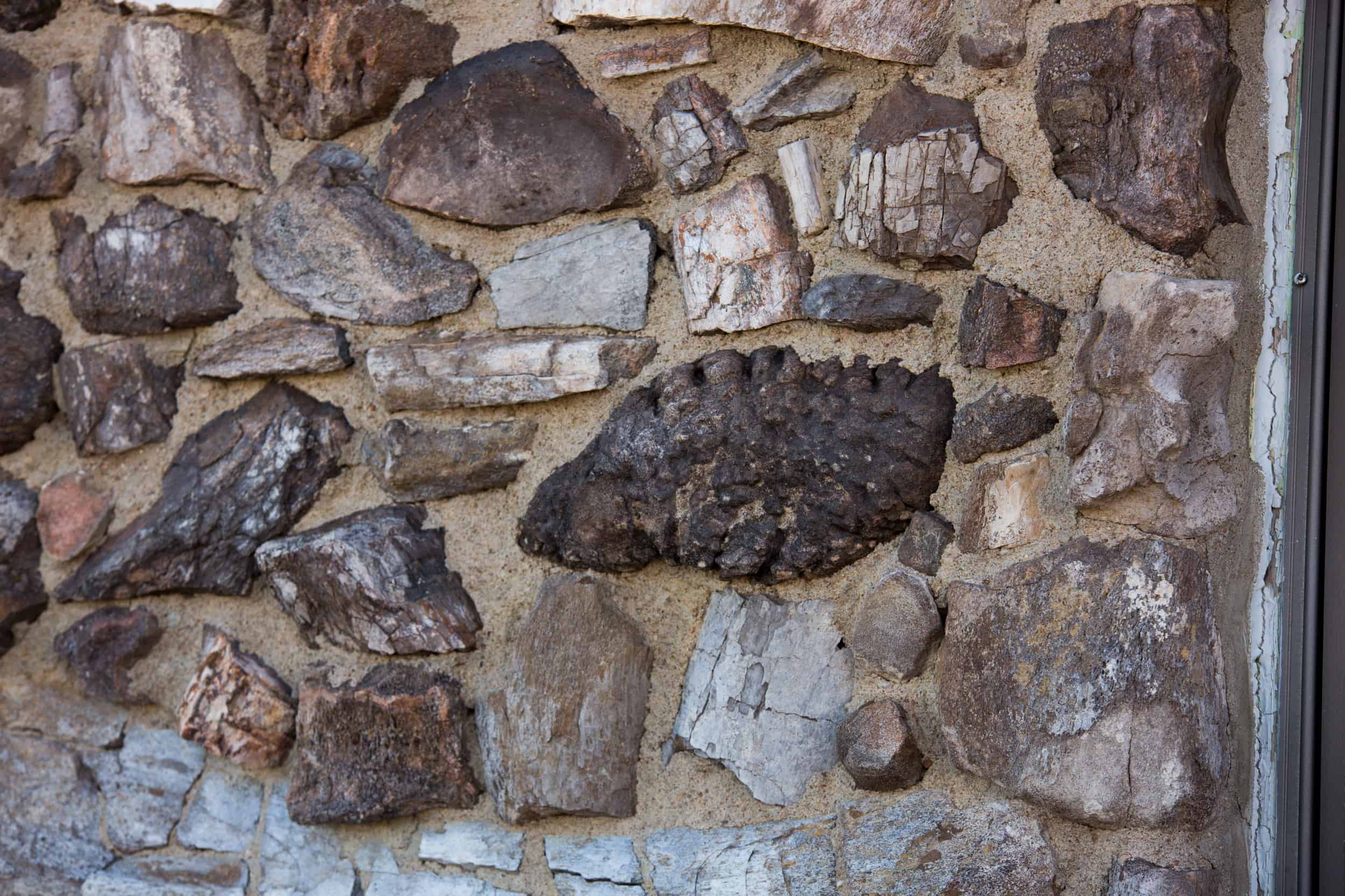 Wyoming fossil house