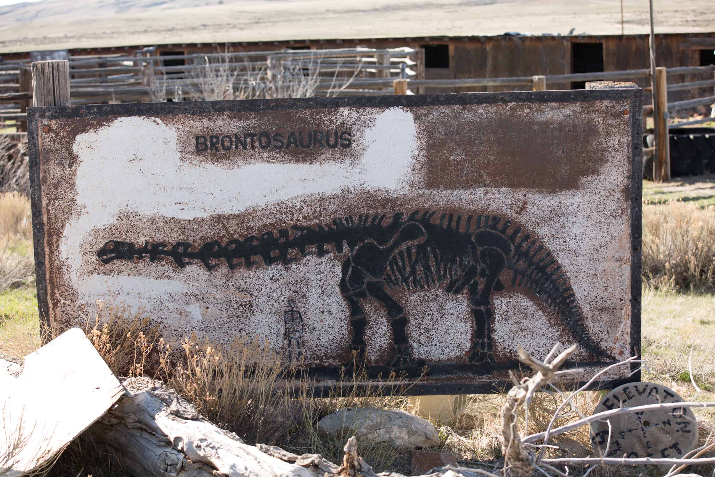 Wyoming fossil house