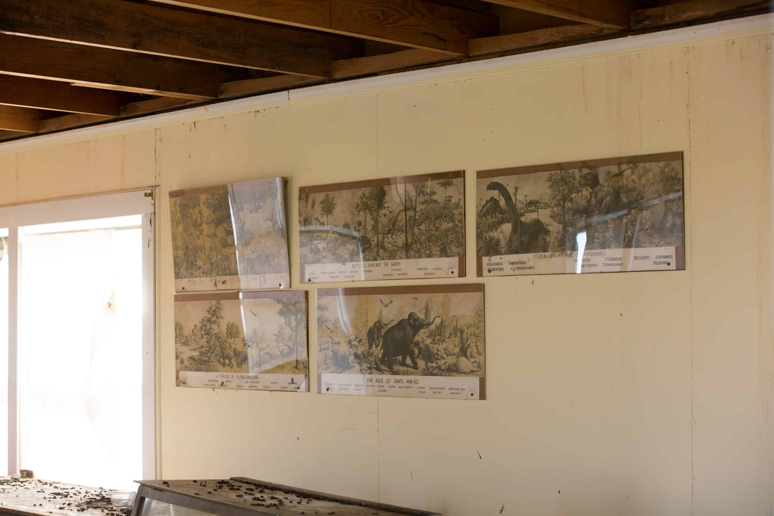 Wyoming fossil house