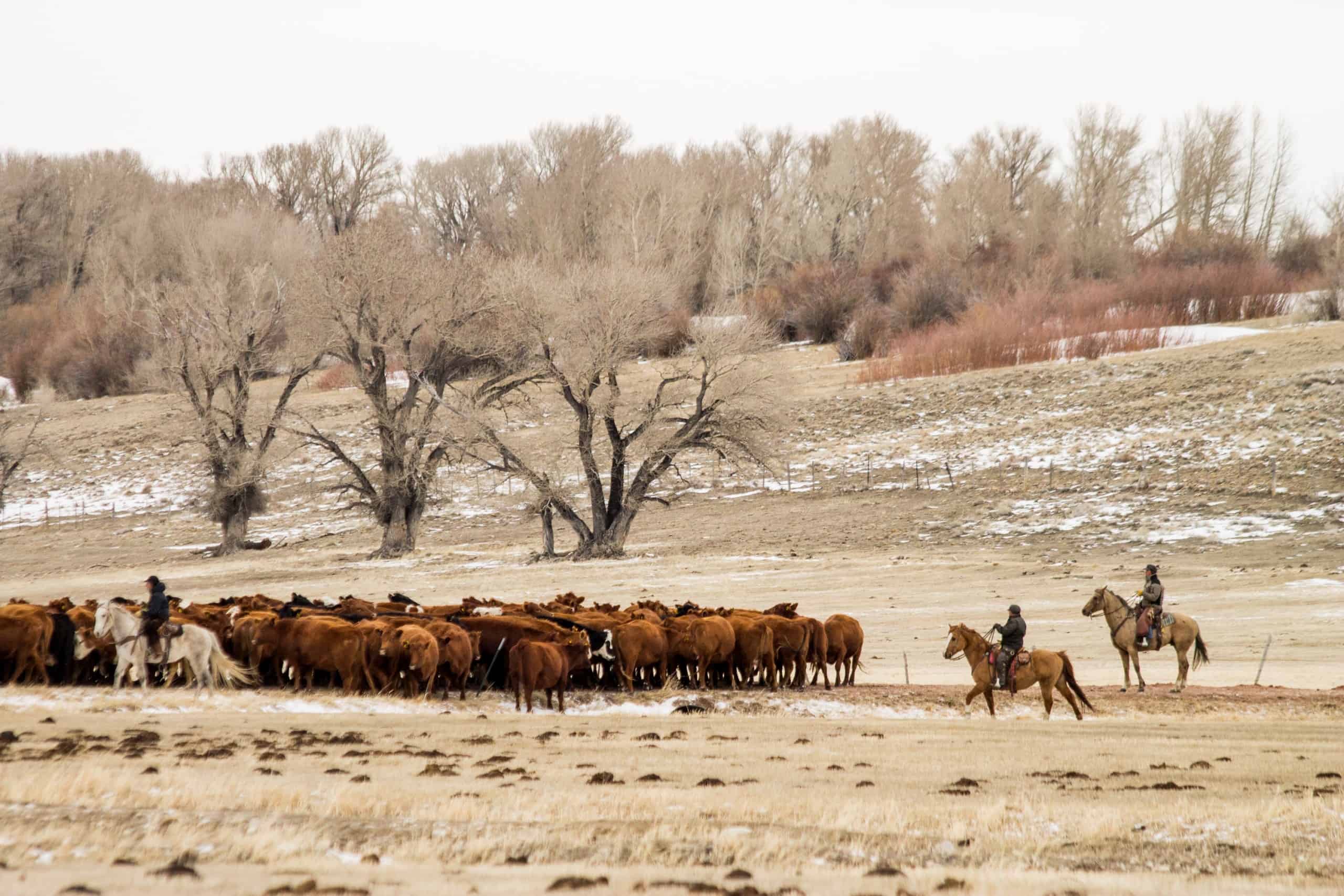 6 week post surgery update