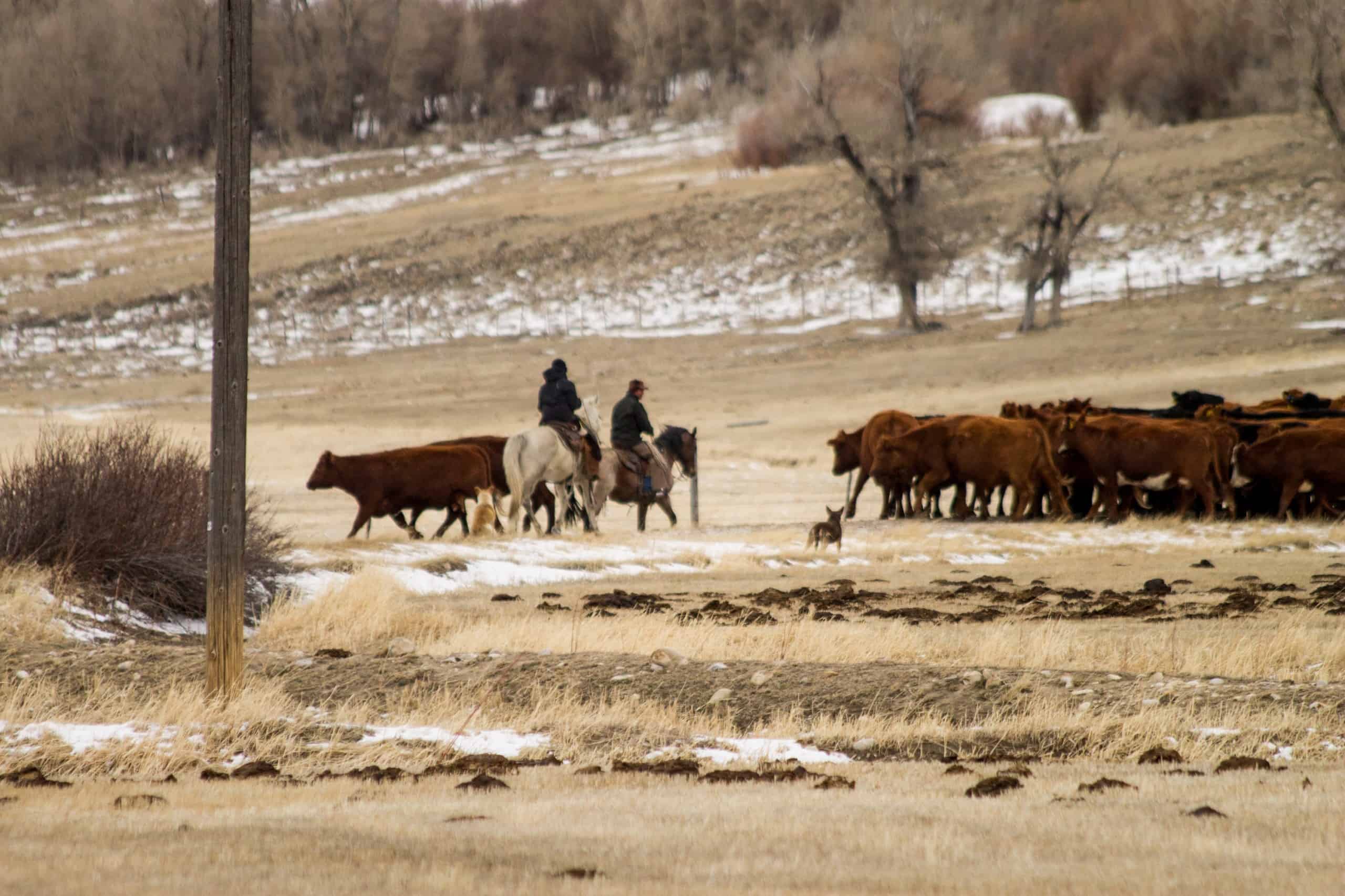 6 week post surgery update