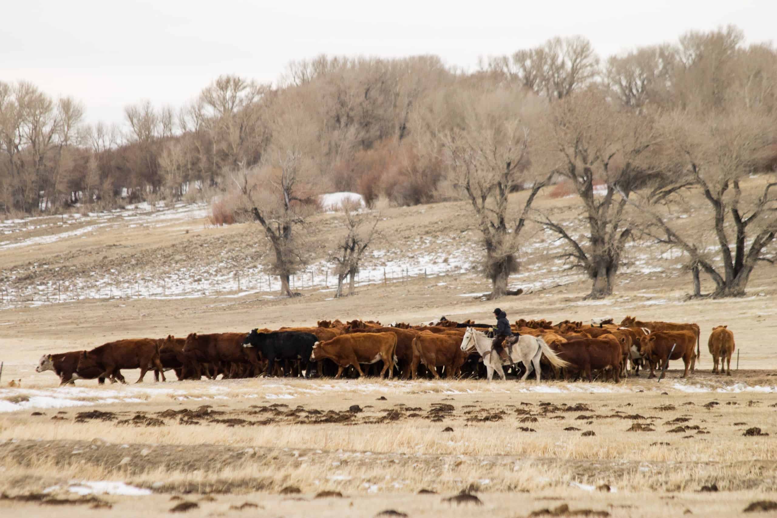 6 week post surgery update