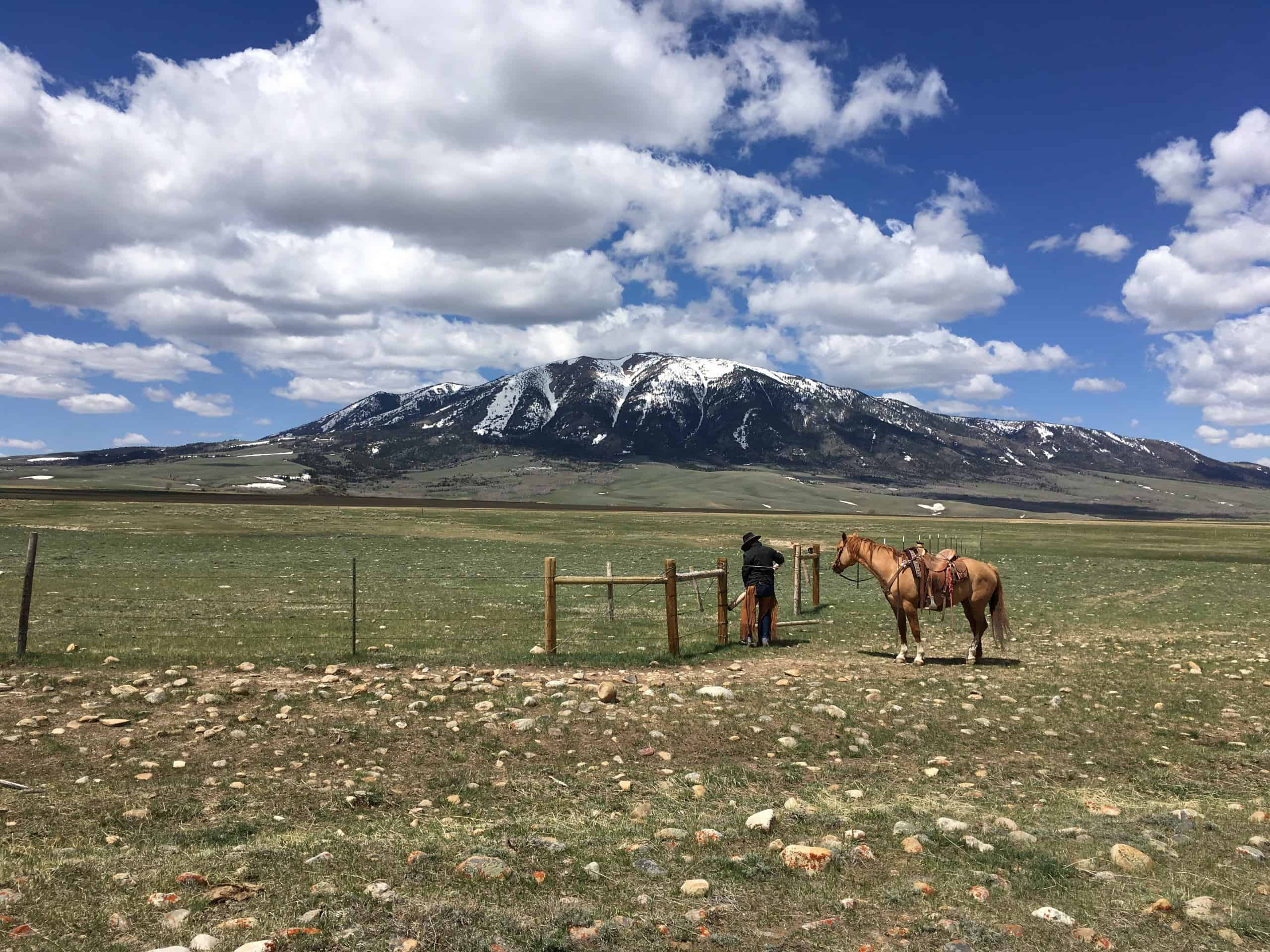 cowboy closing a gate