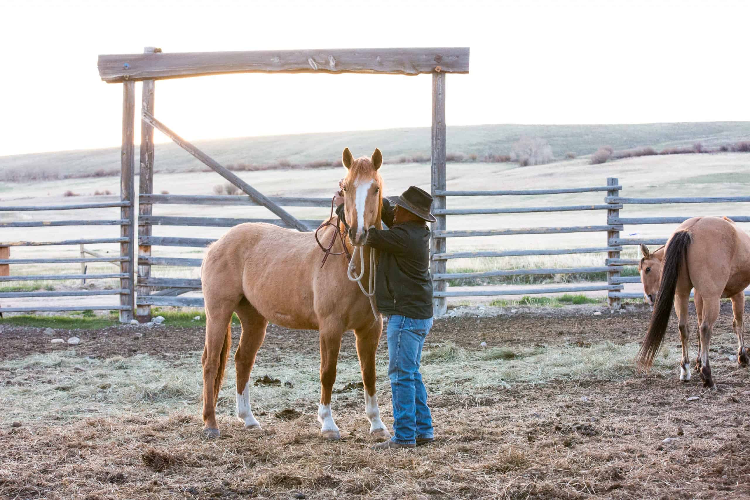 Mornings on the ranch
