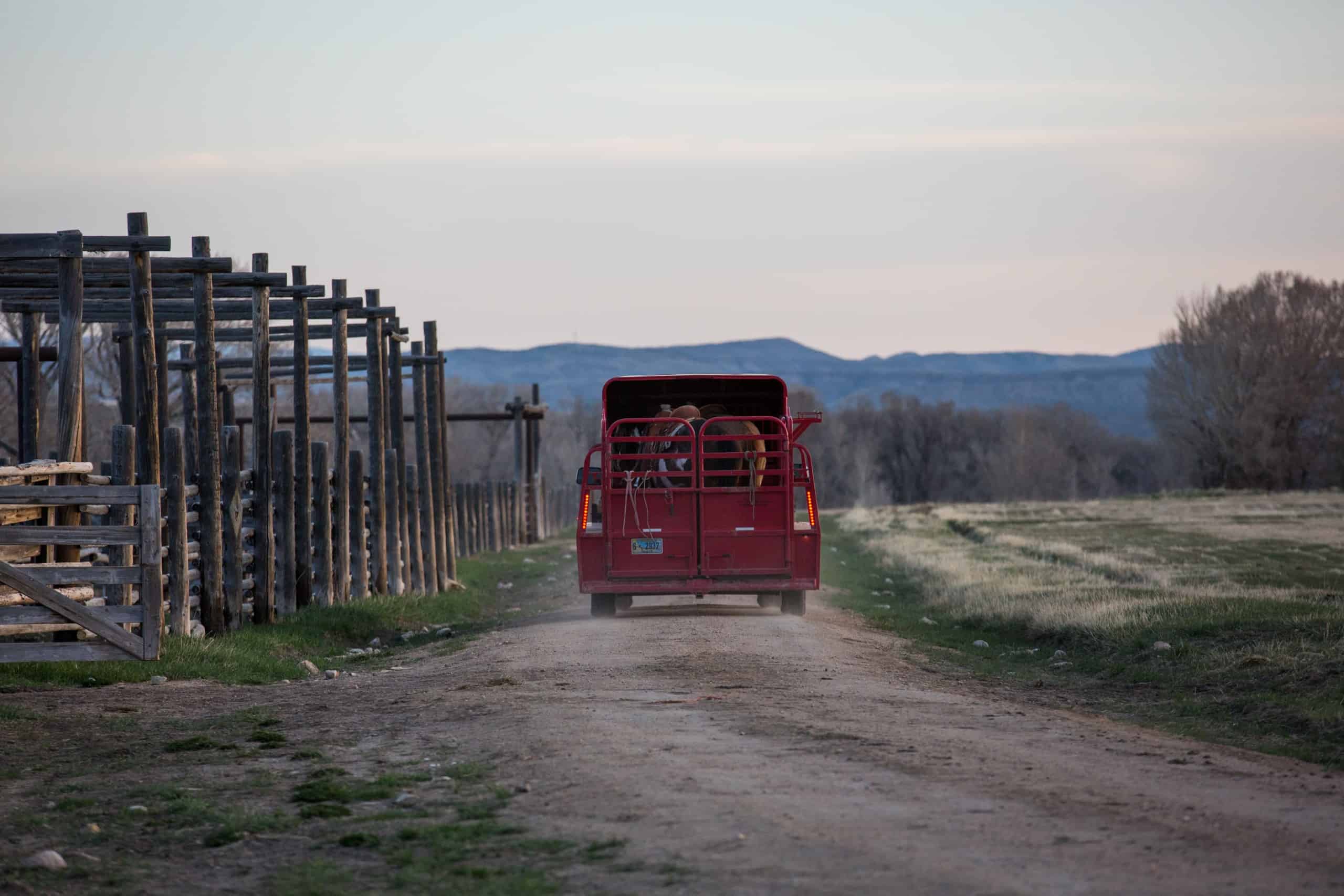 Mornings on the ranch
