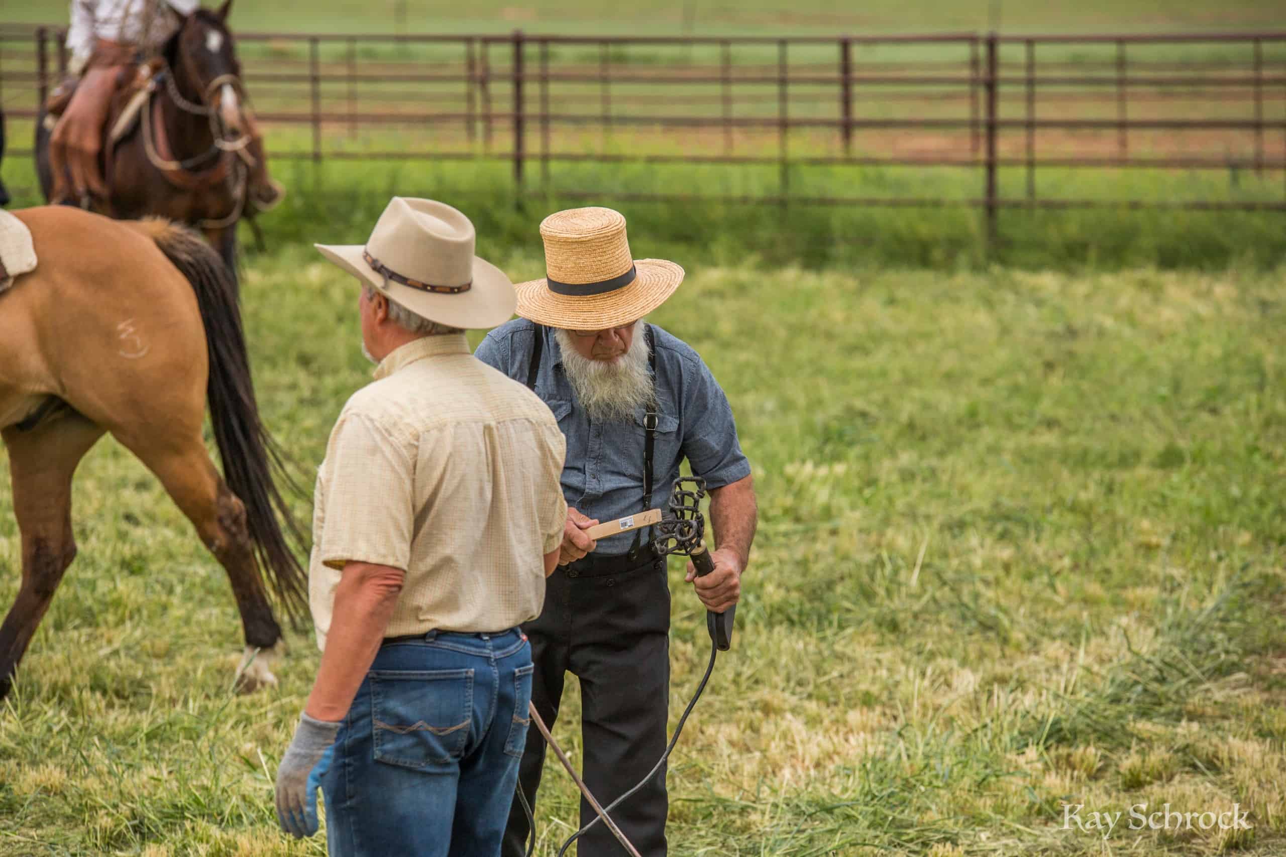 Colorado branding with Amish and Cowboys