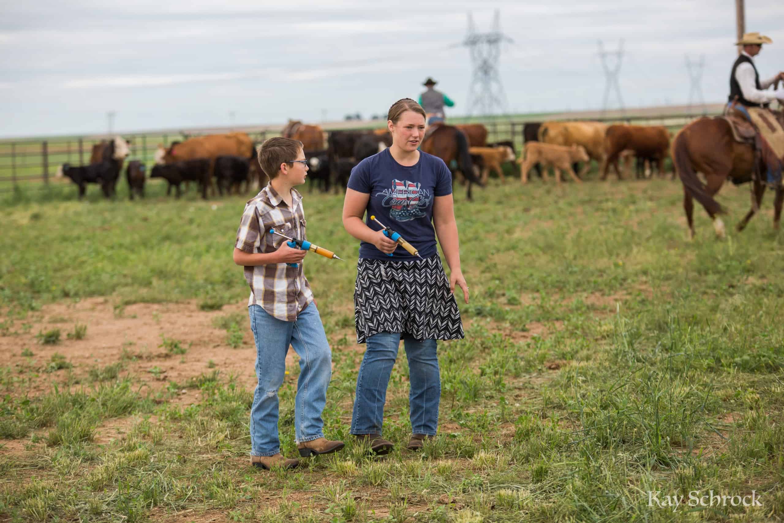 Colorado branding with Amish and Cowboys