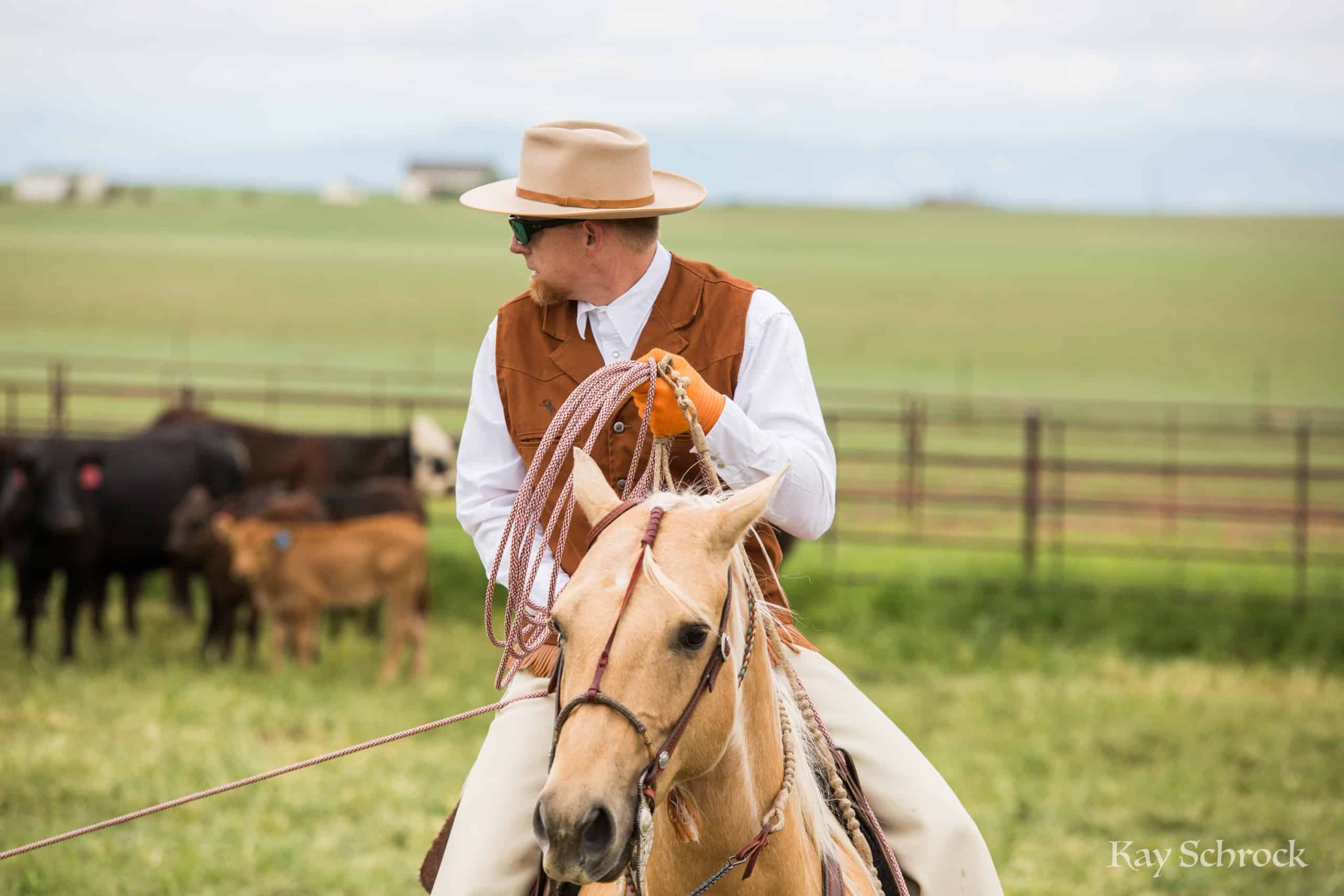 Colorado branding with Amish and Cowboys