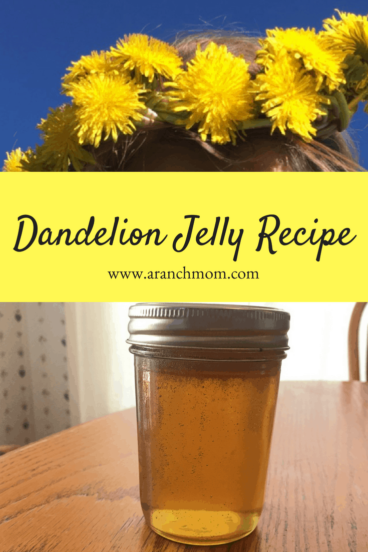 Dandelion Jelly Recipe - A Ranch Mom