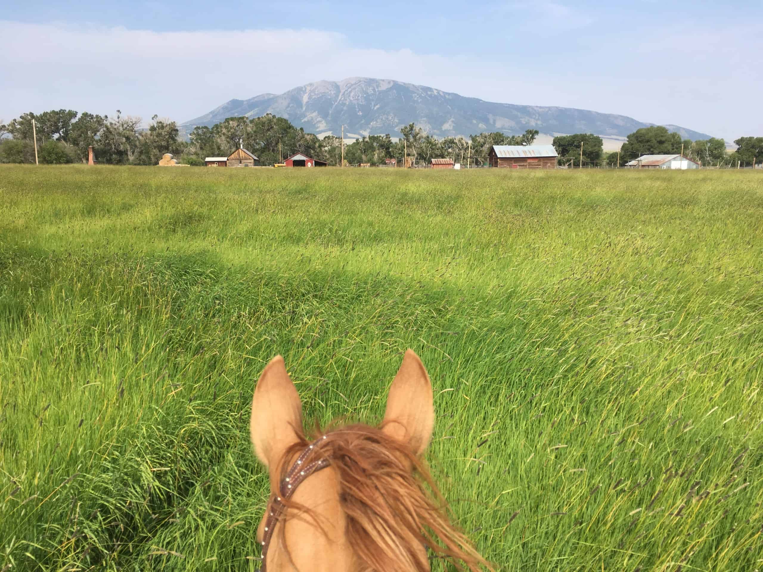 elk mountain through horse ears