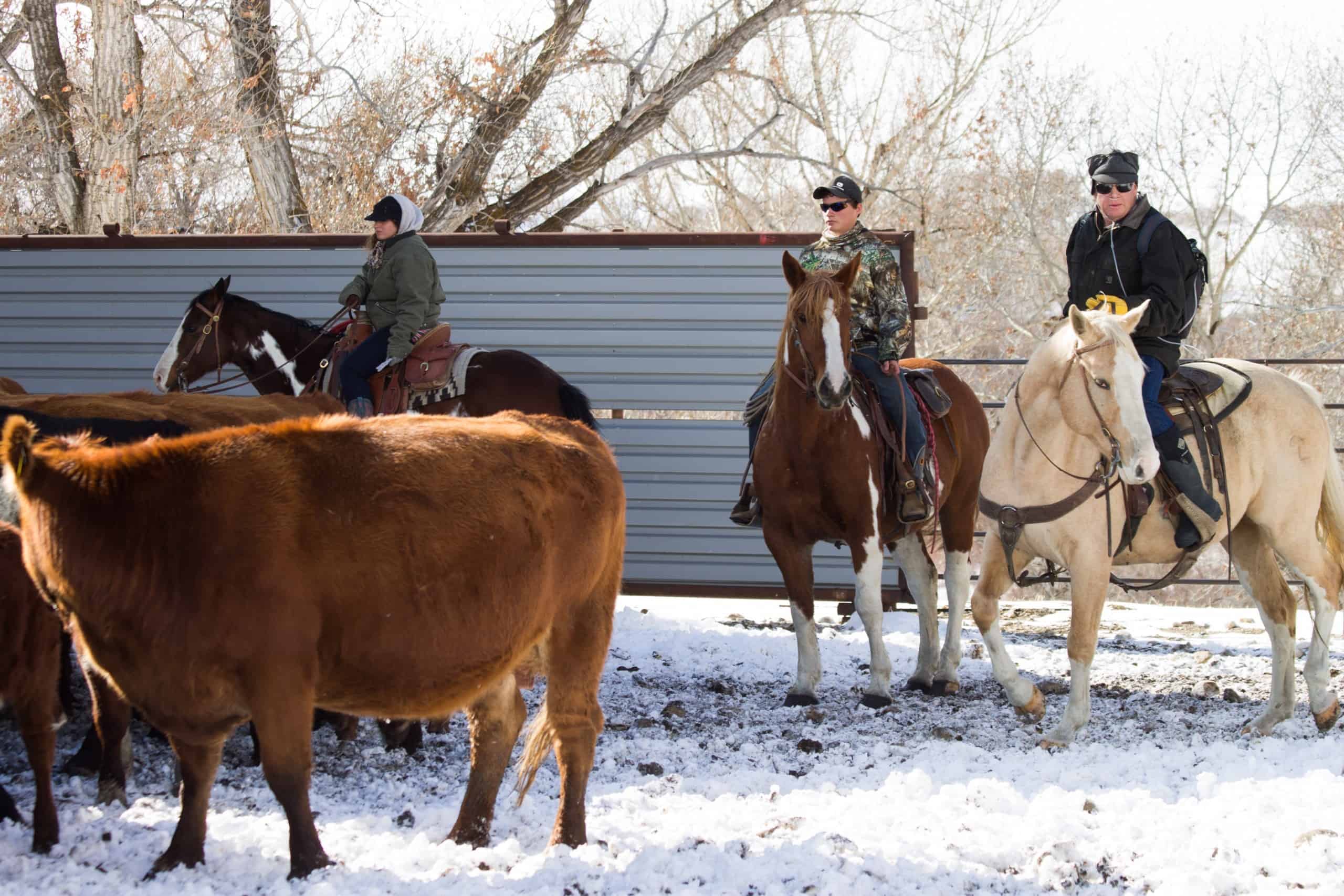 cowboys in the snow