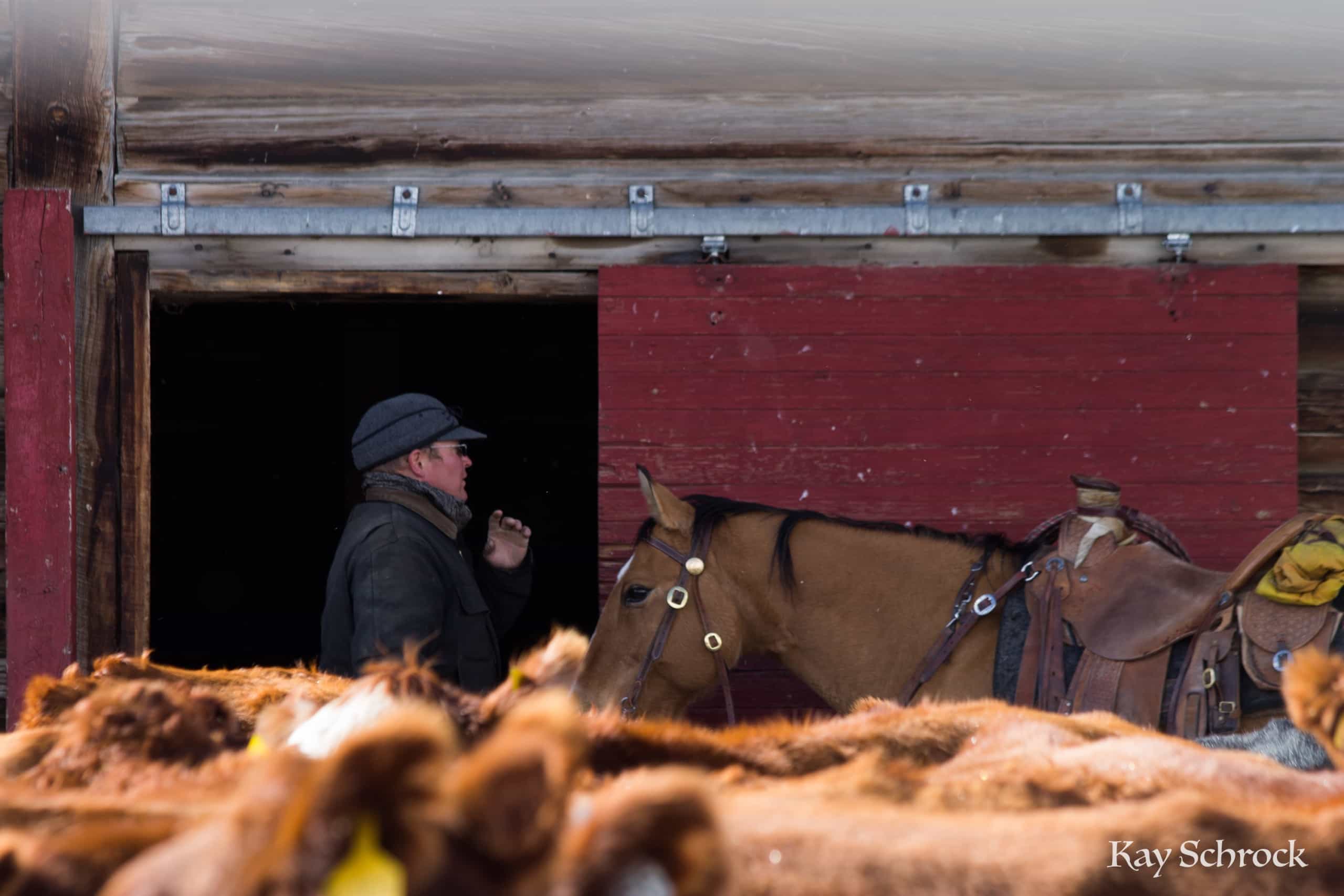ranch hand in the barn door