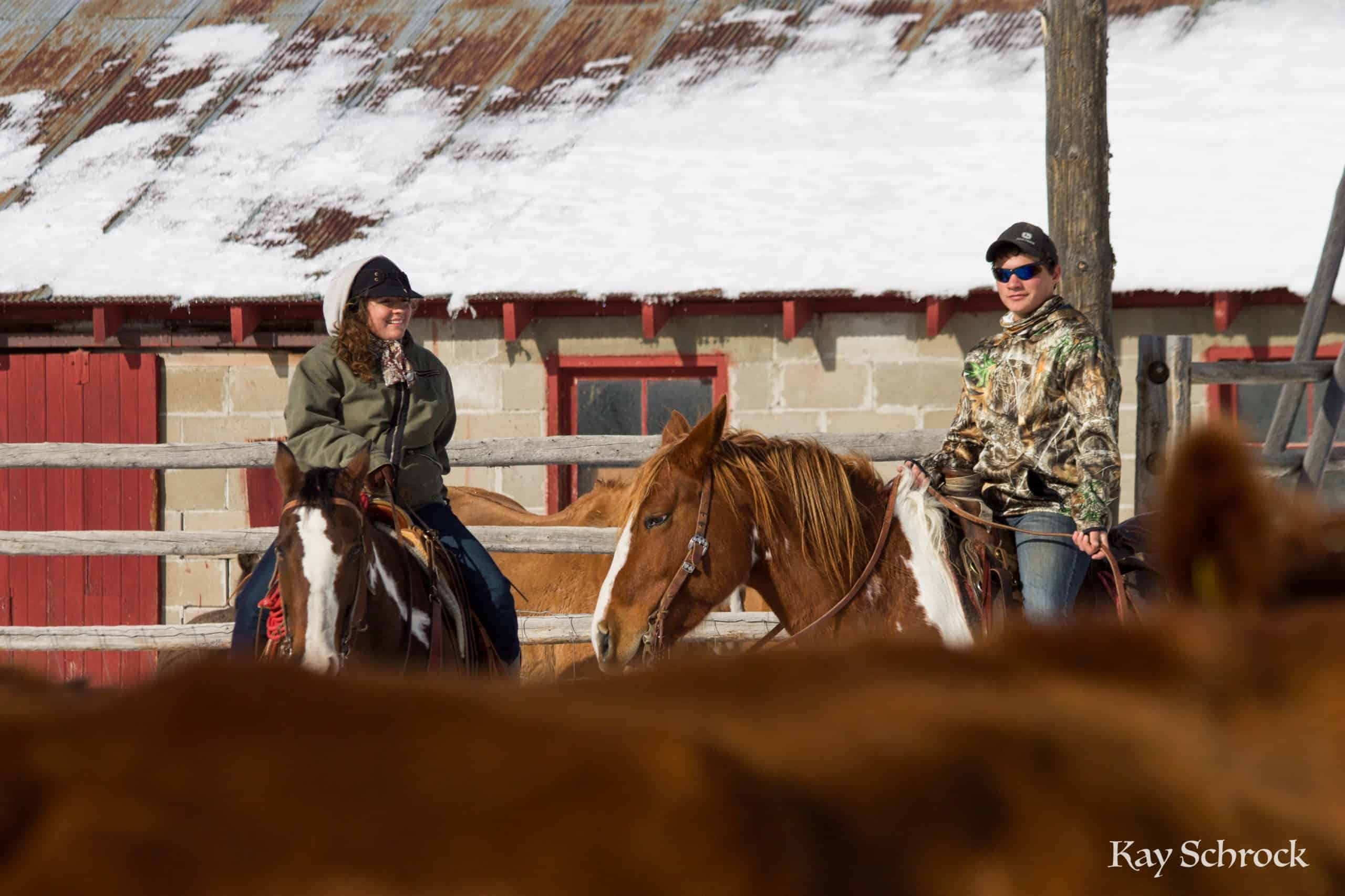 cowboys in the shipping corrals
