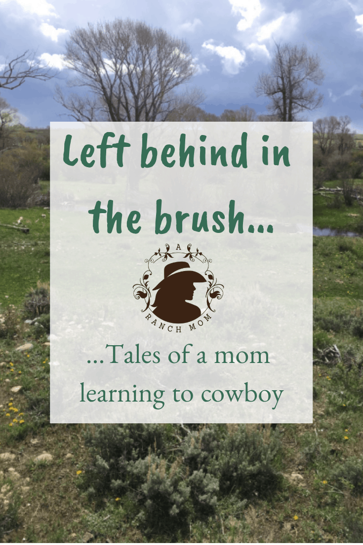 Left behind in the brush