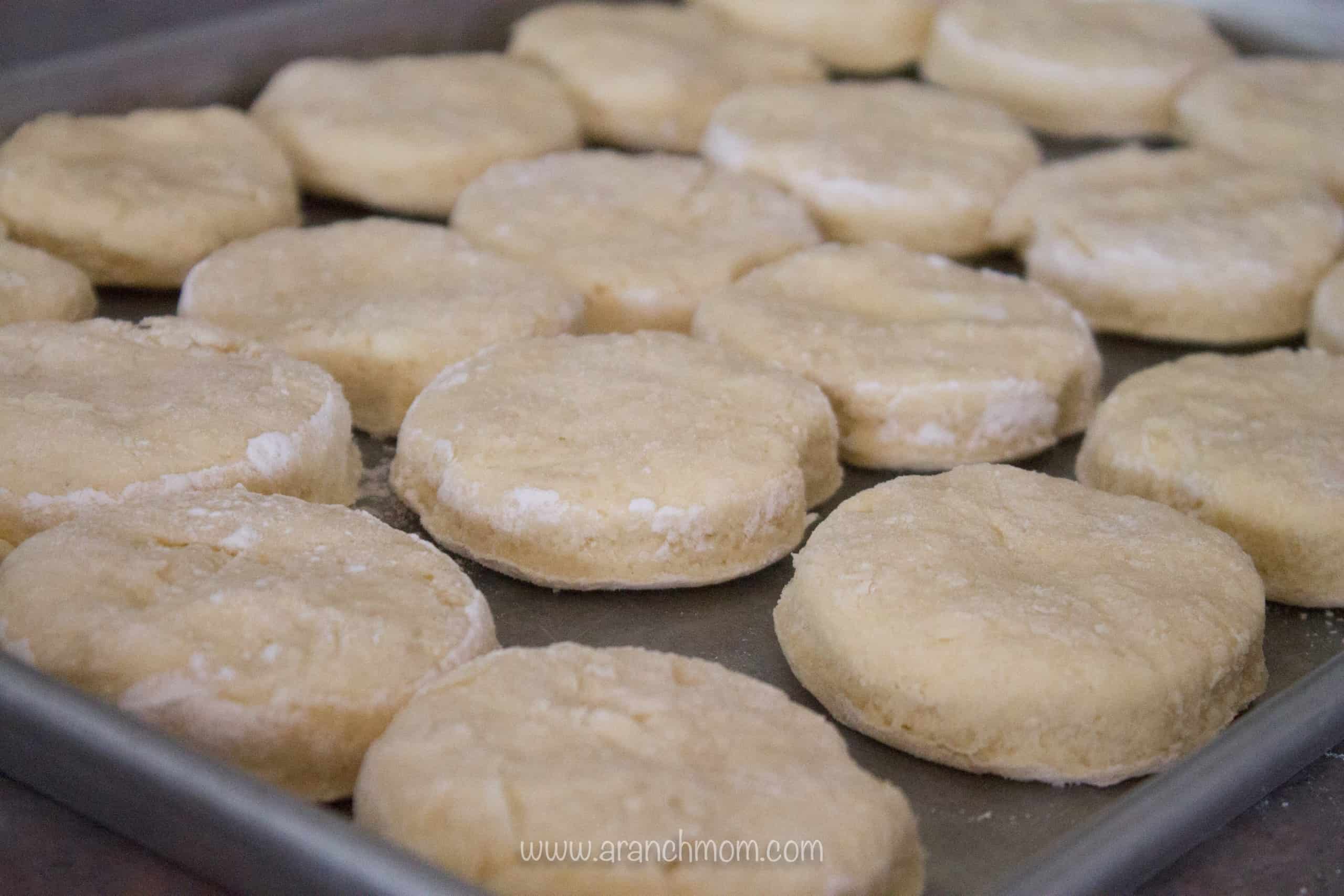 Flaky Biscuit recipe, the best biscuit you will ever eat!