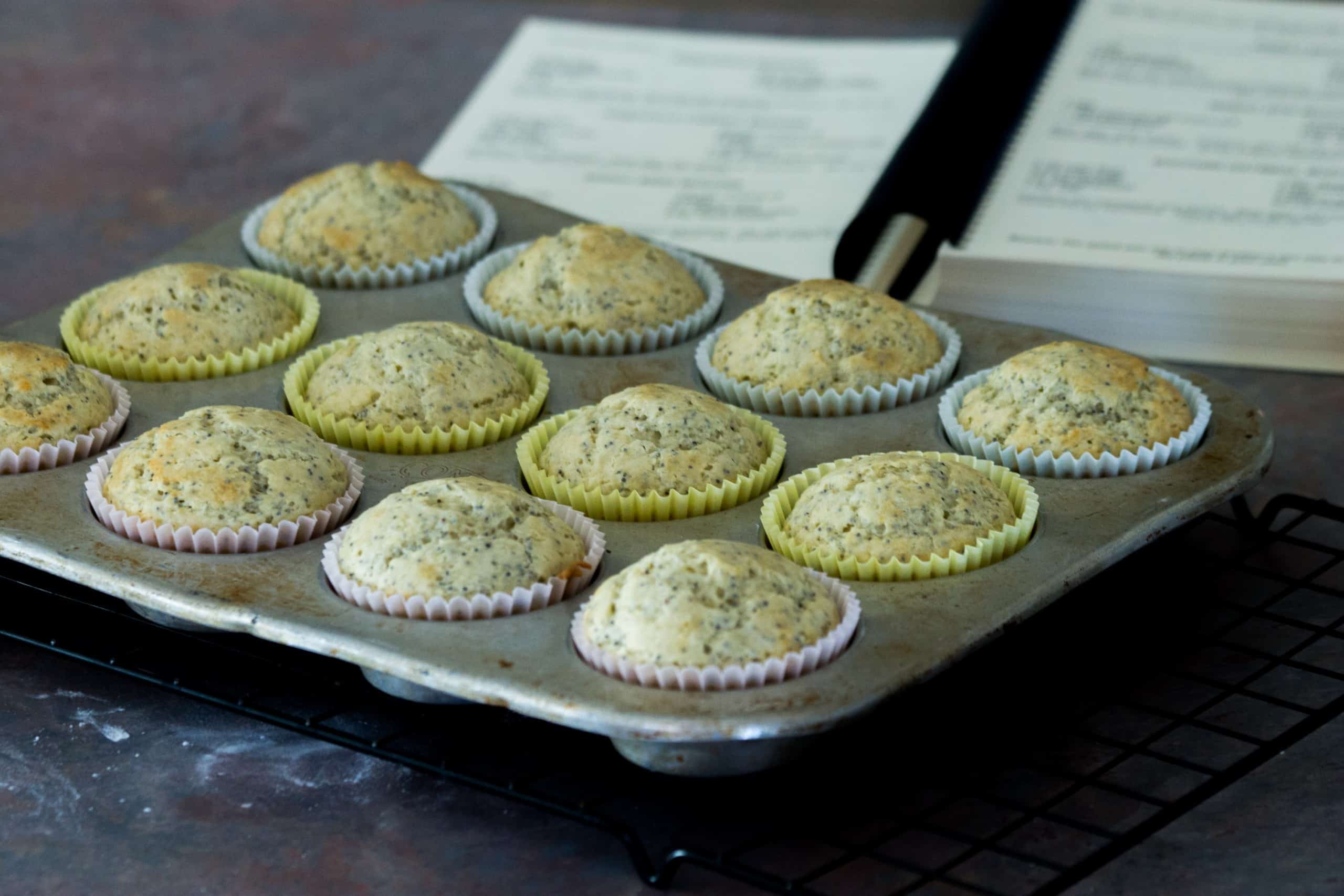 How to frugally feed a family of 6 without using coupons! Learn my tips on feeding a large family. #budget #menu #moneysavingtips #budgettips #savemoney