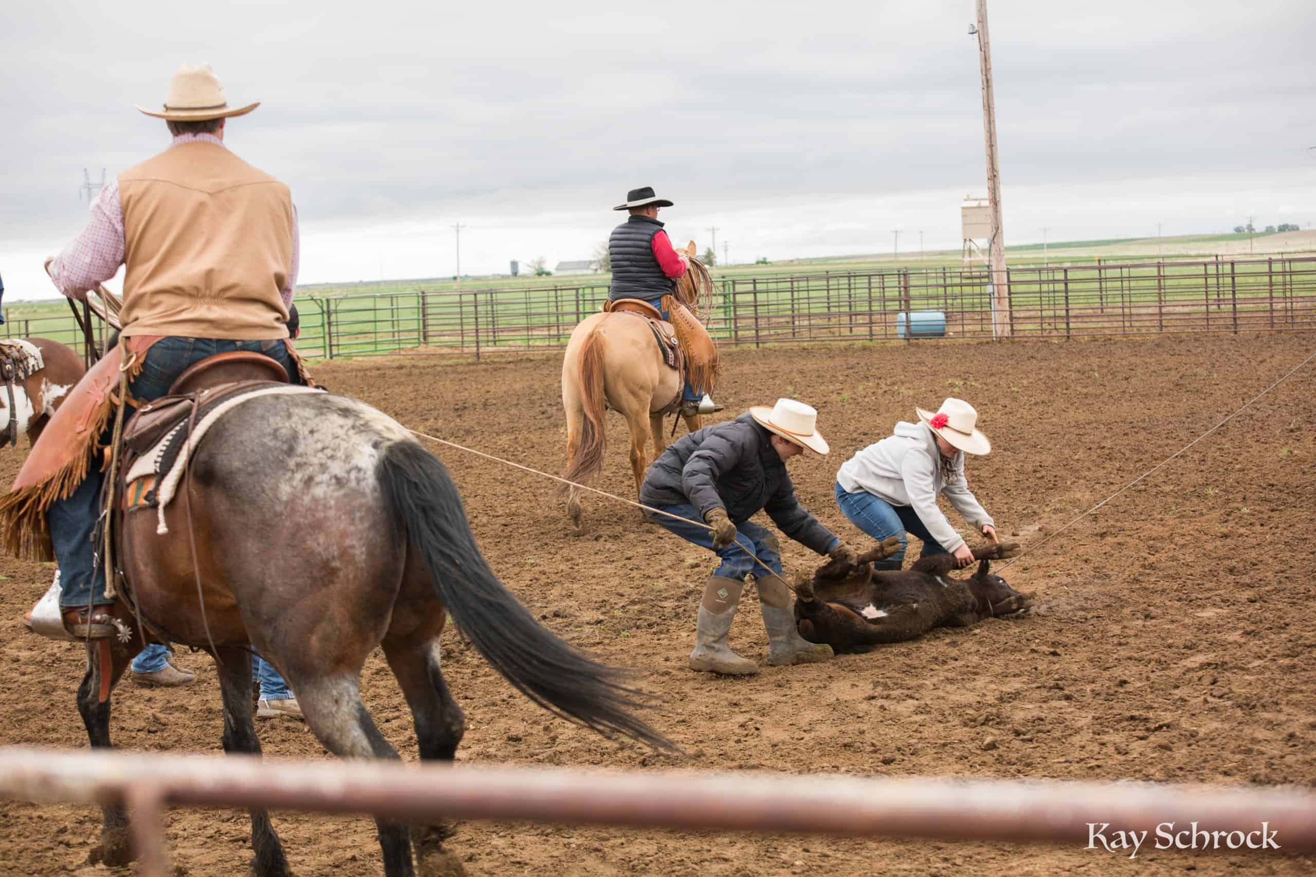 Esh Branding in Colorado -ranch kids at a branding