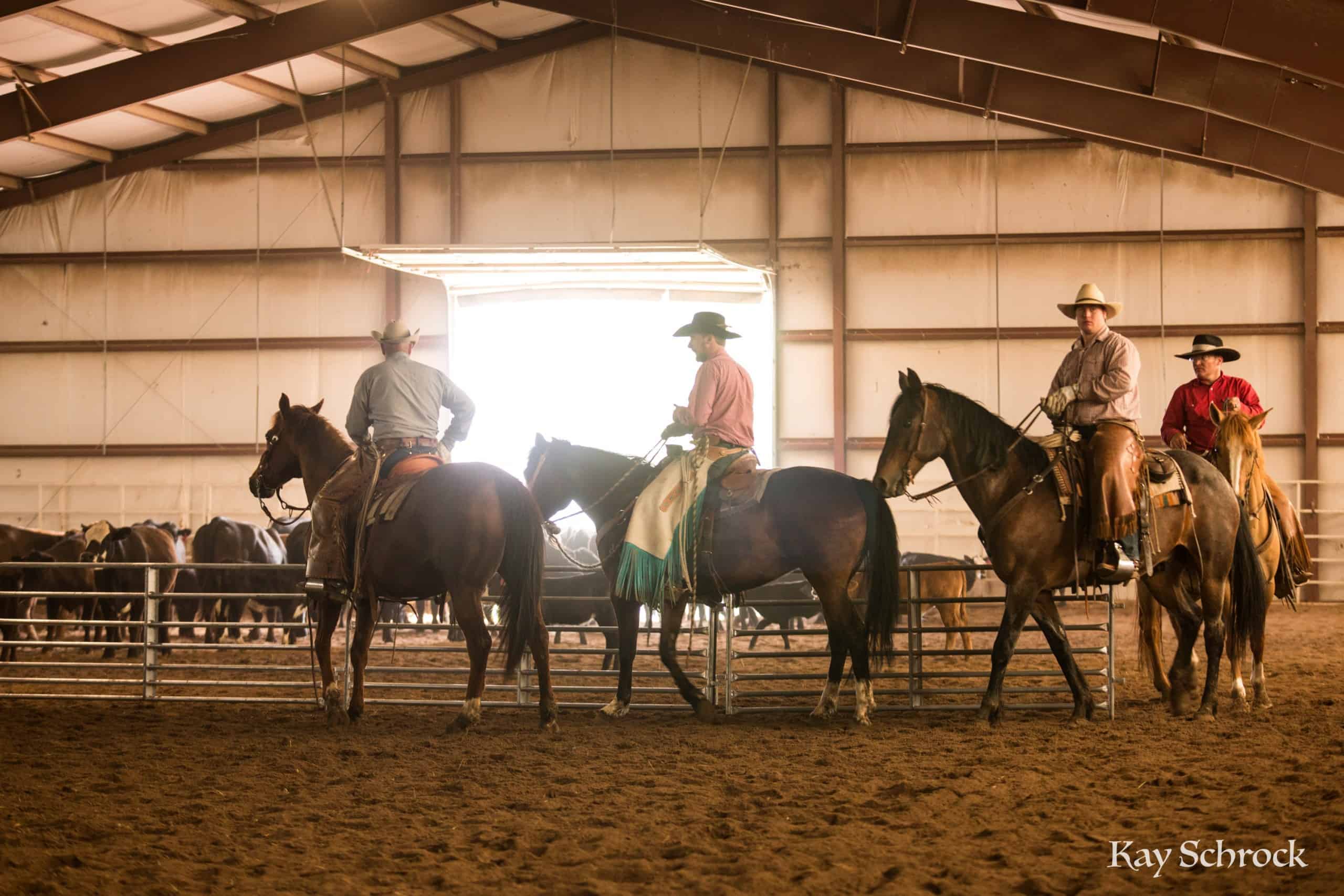 Esh Branding in Colorado - horsemen