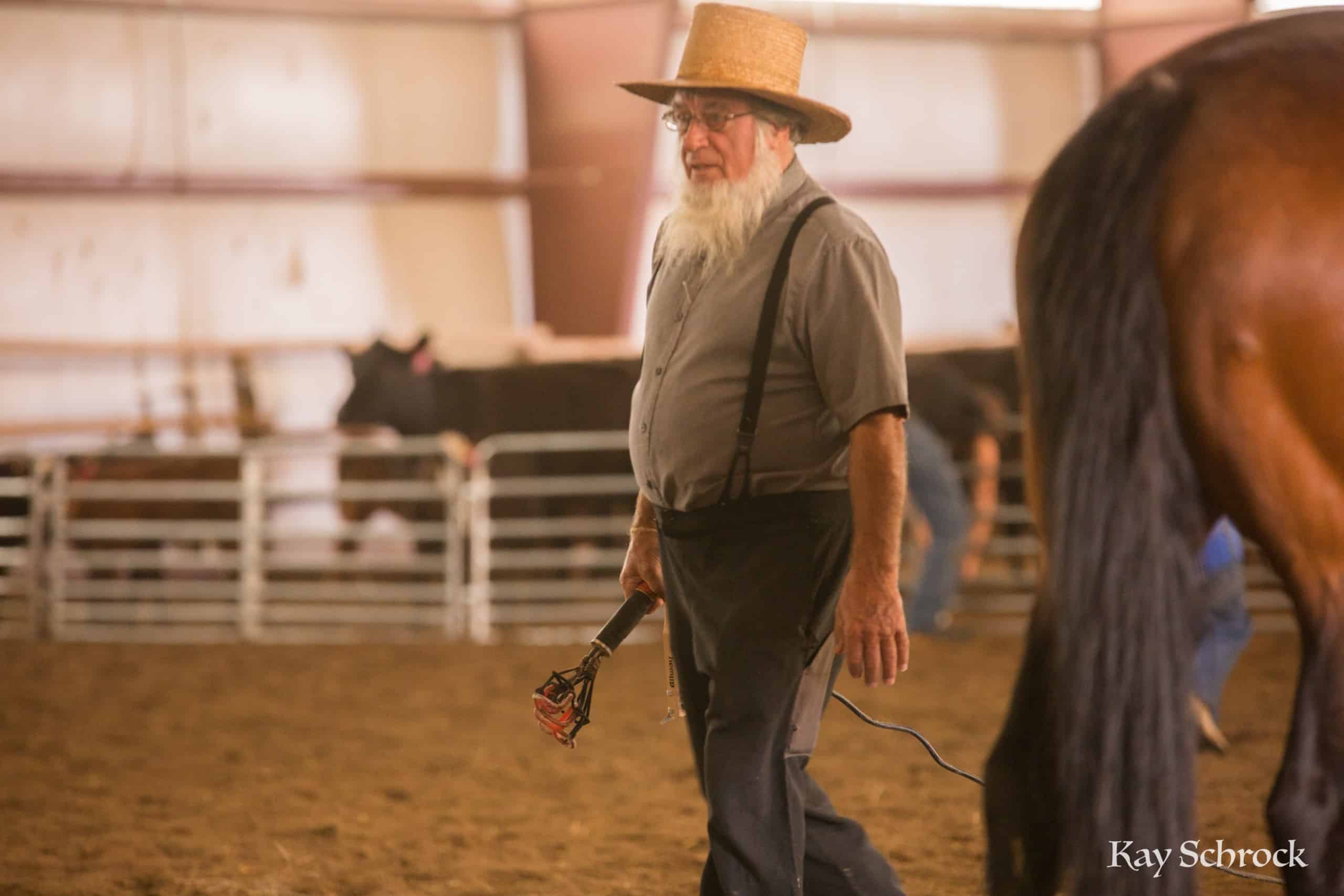 Esh Branding in Colorado - amish man with branding iron