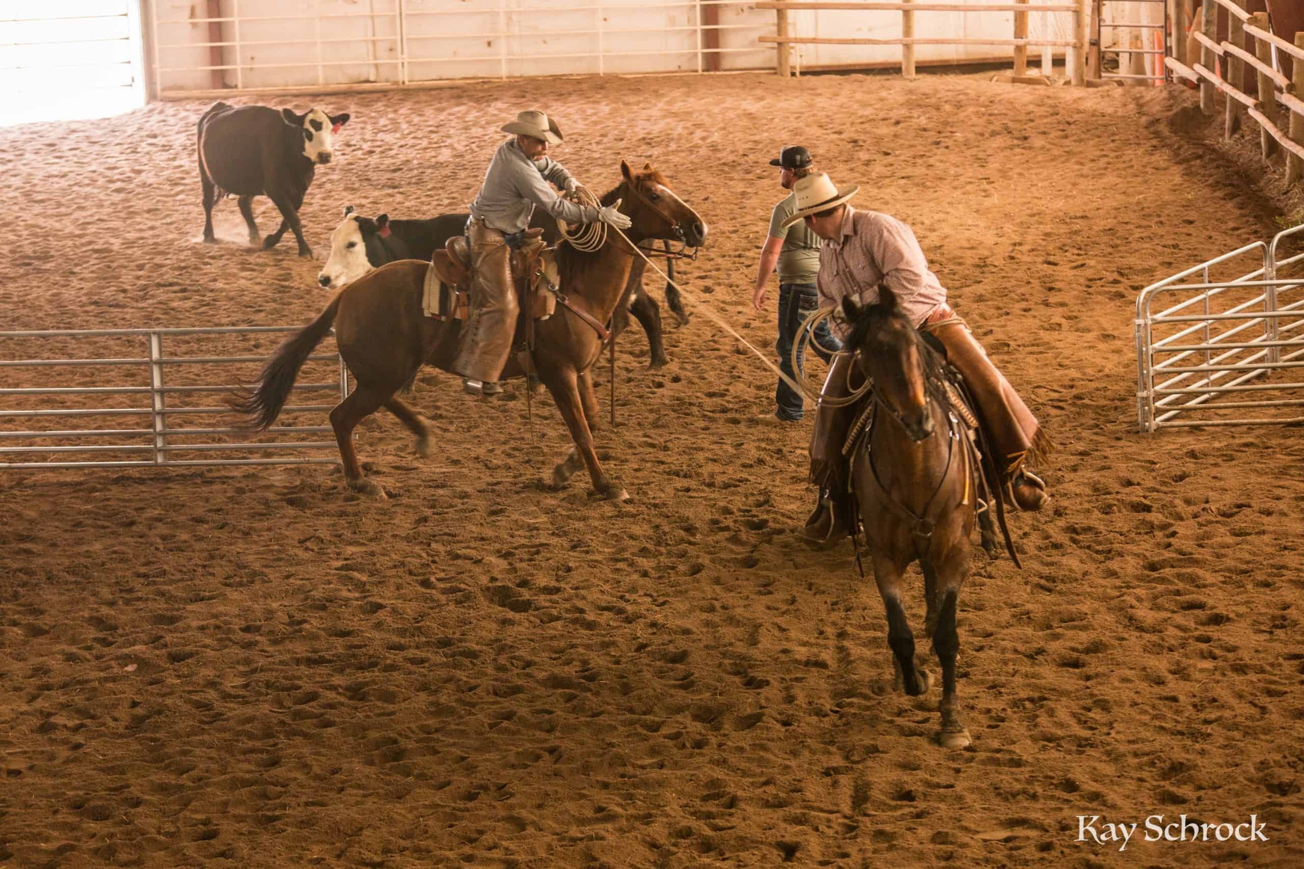 Esh Branding in Colorado - team roping