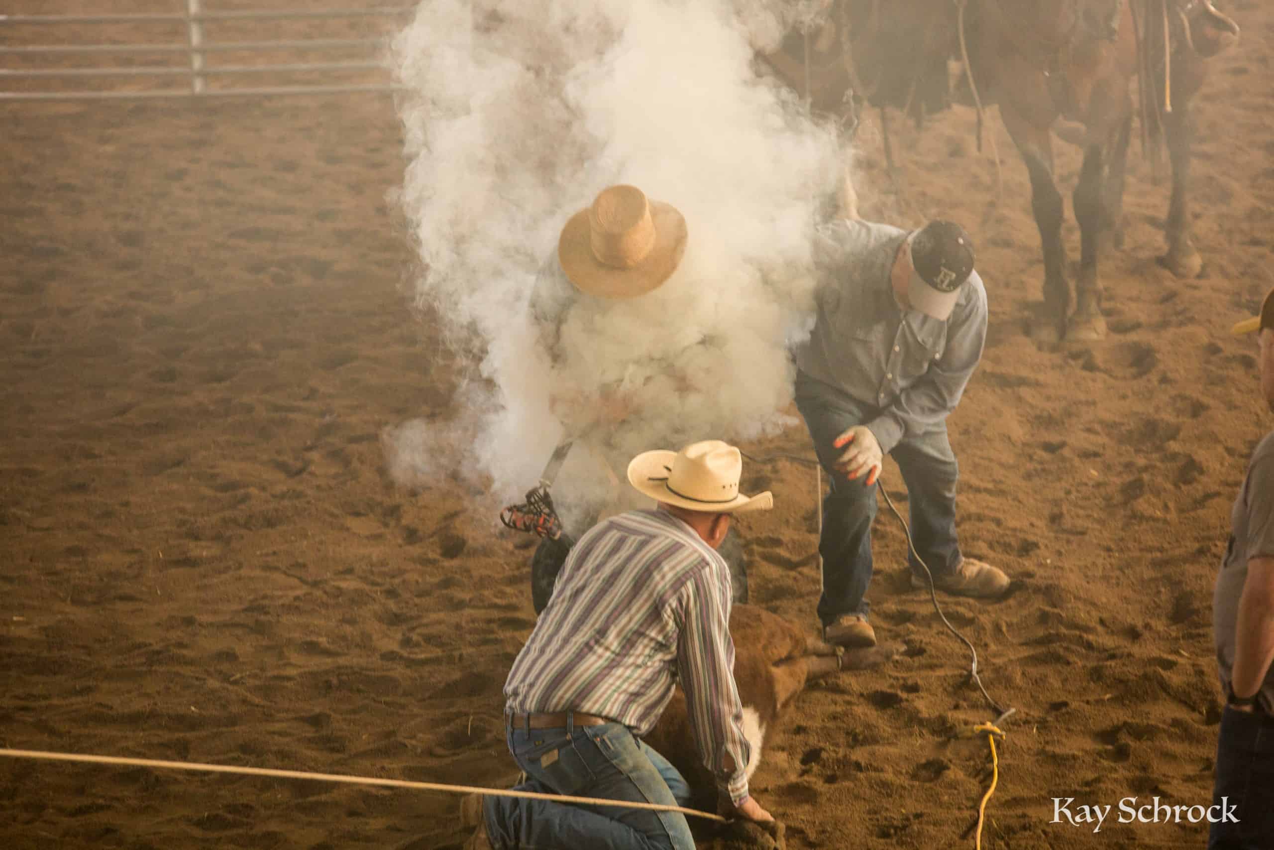 Esh Branding in Colorado