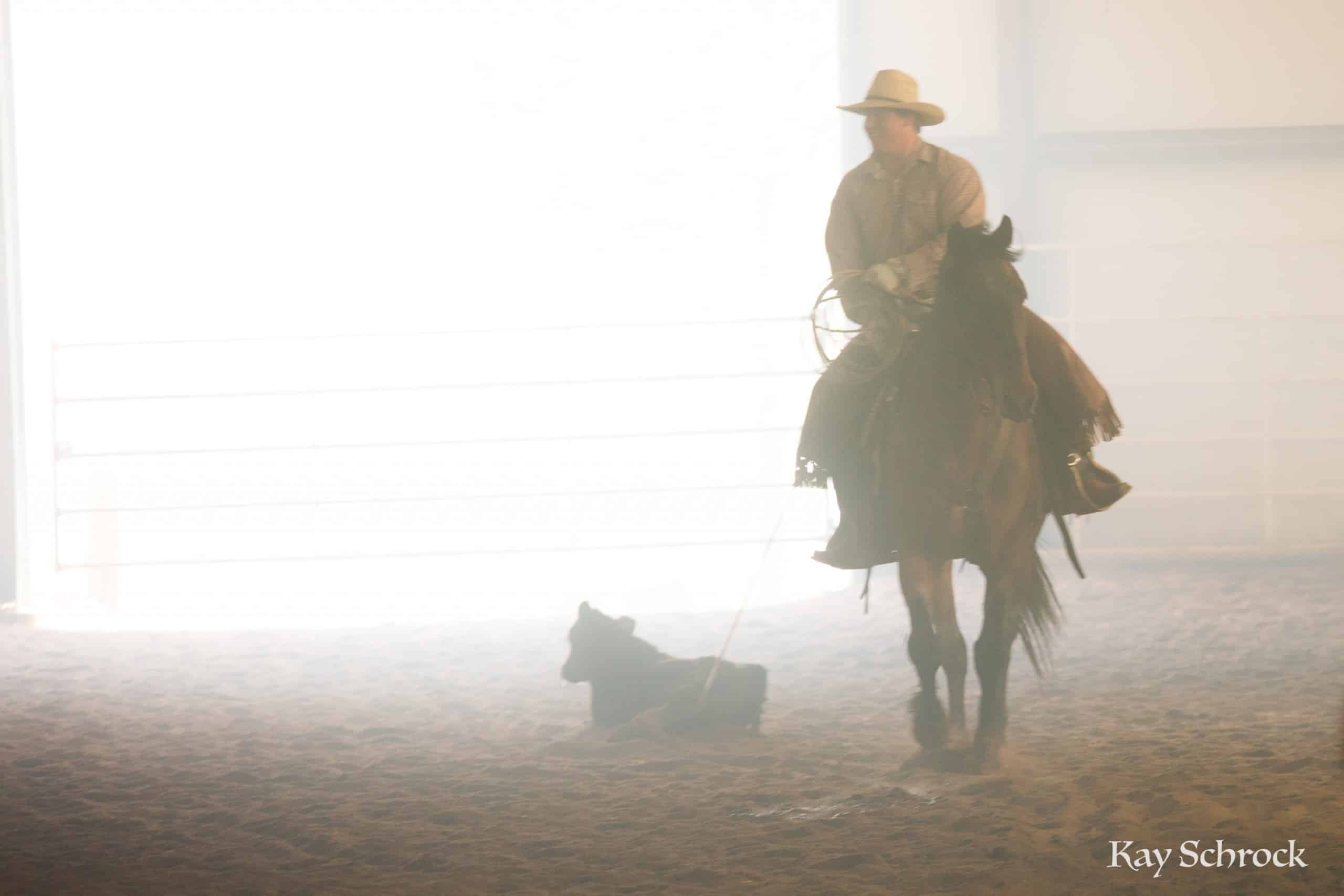 Esh Branding in Colorado - cowboy in dust