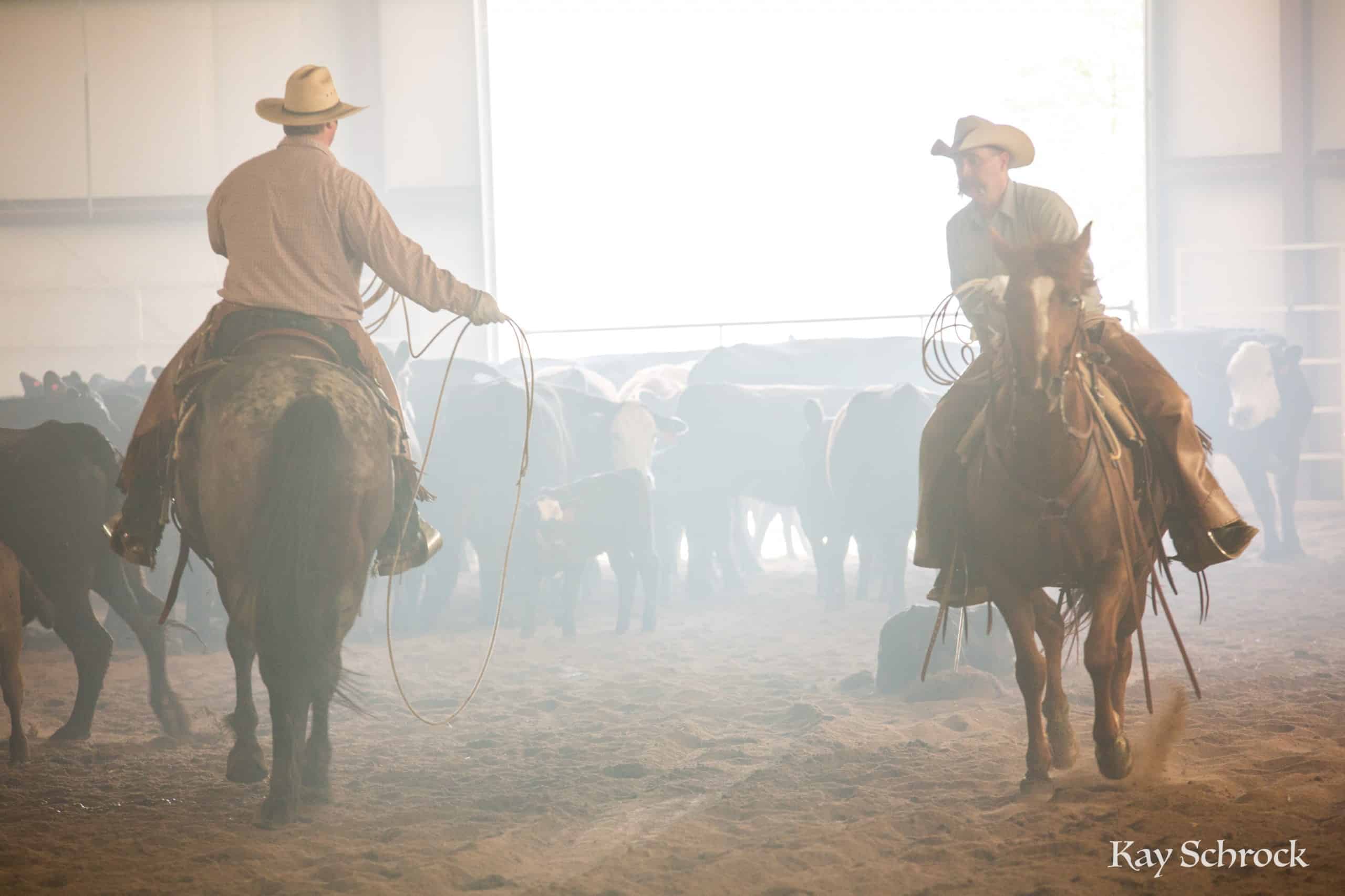 Esh Branding in Colorado - cowboys in dust