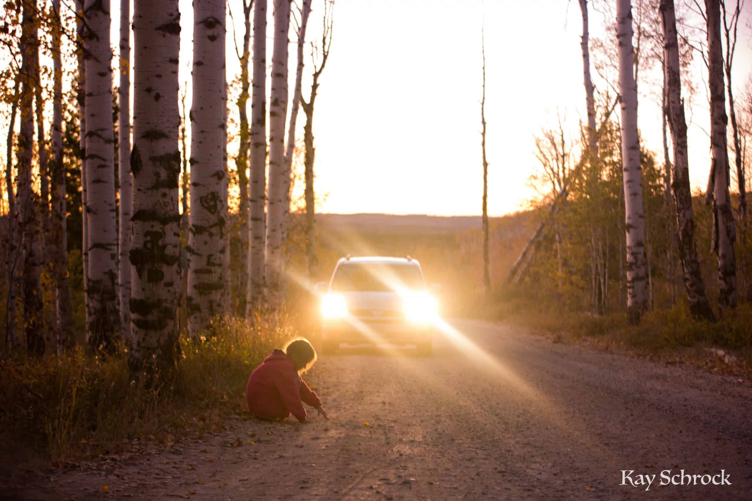 Aspen Alley WY sierra madres